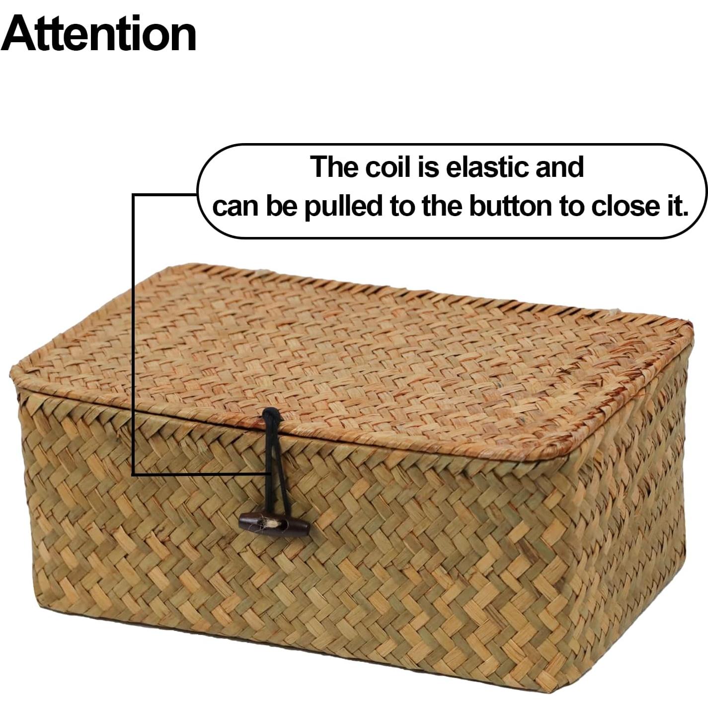 Cesta de Almacenamiento ORDELITE de Hierba Marina Natural con Tapa