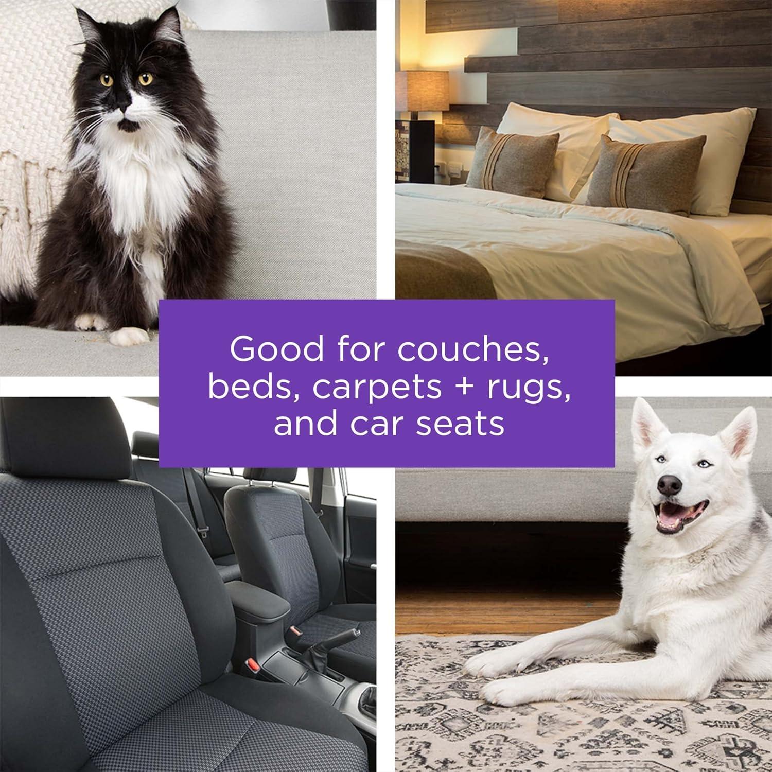 Removedor de Pelo de Mascotas BLACK+DECKER HMSCT0001