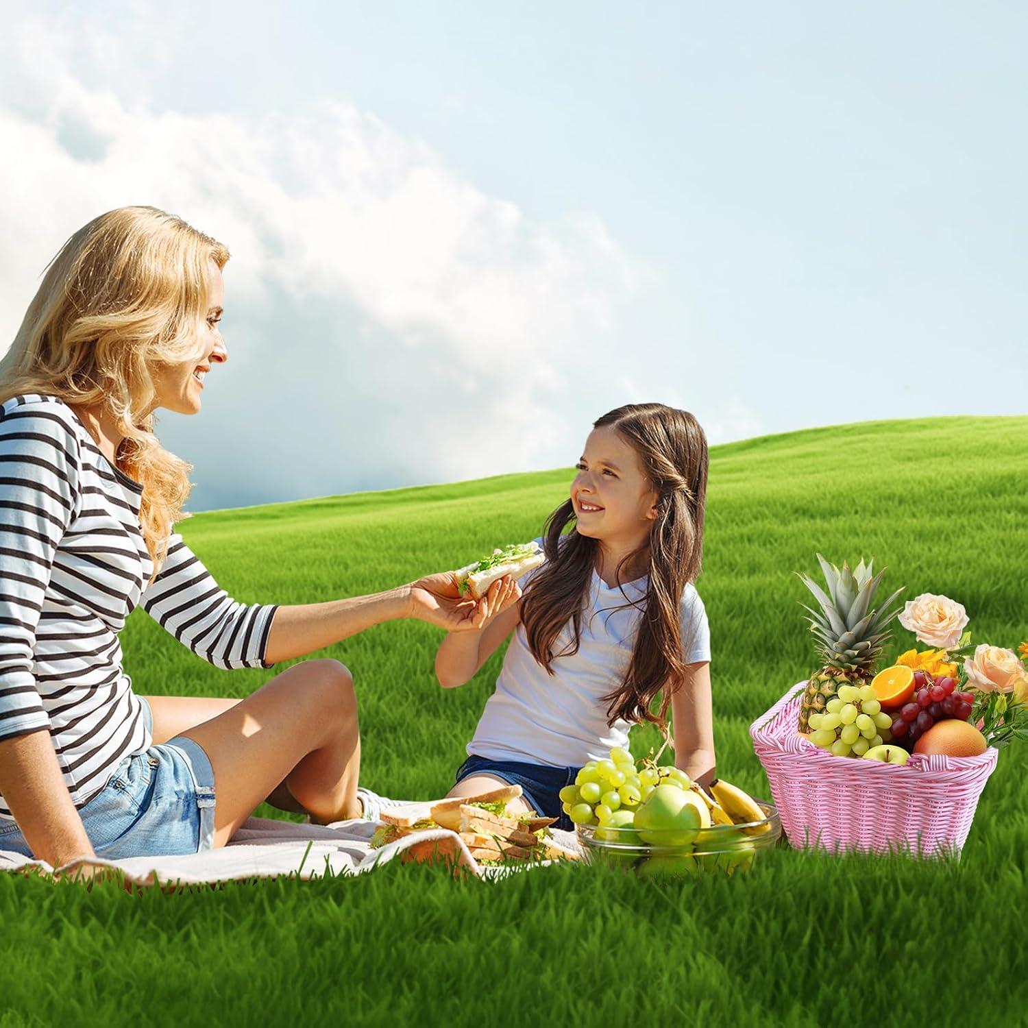 Cesta de Picnic de Mimbre Aikolesa Rosa 21x16x16 cm