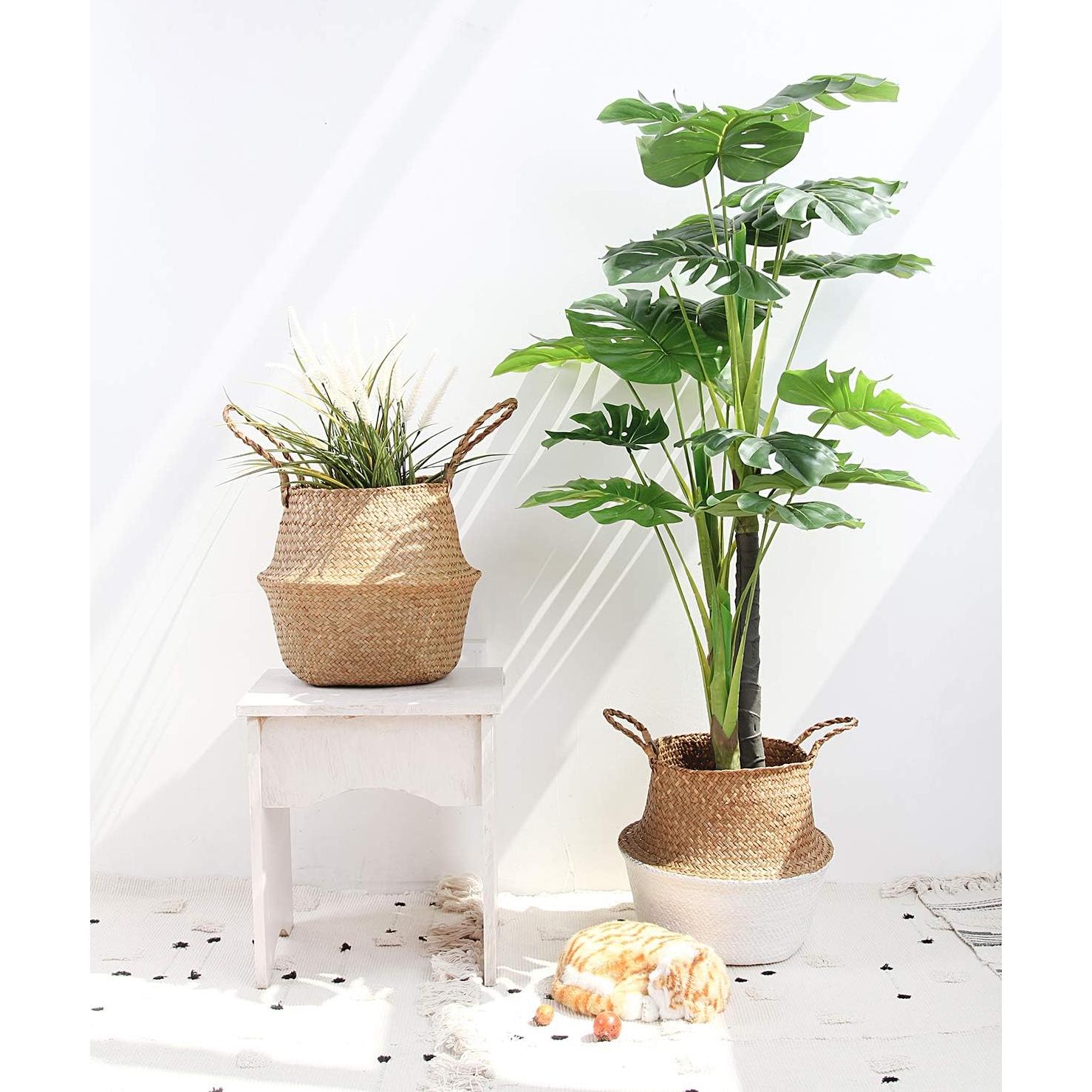 Cesta de Algas Marinas BlueMake Grande 32x28cm Multiusos