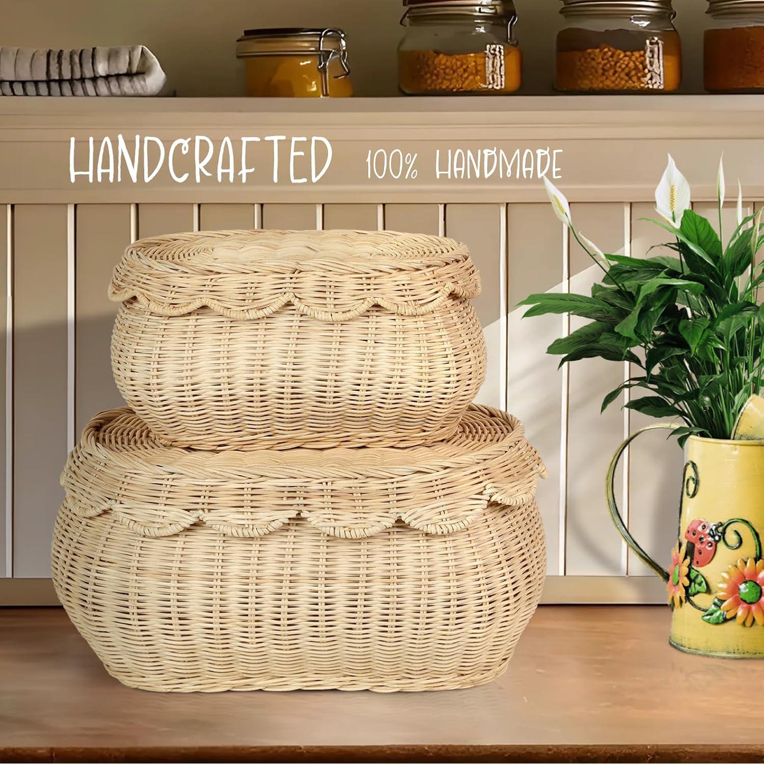 Cestas de Ratan Tejidas a Mano SIEUSALEVN 2 Pcs con Tapa