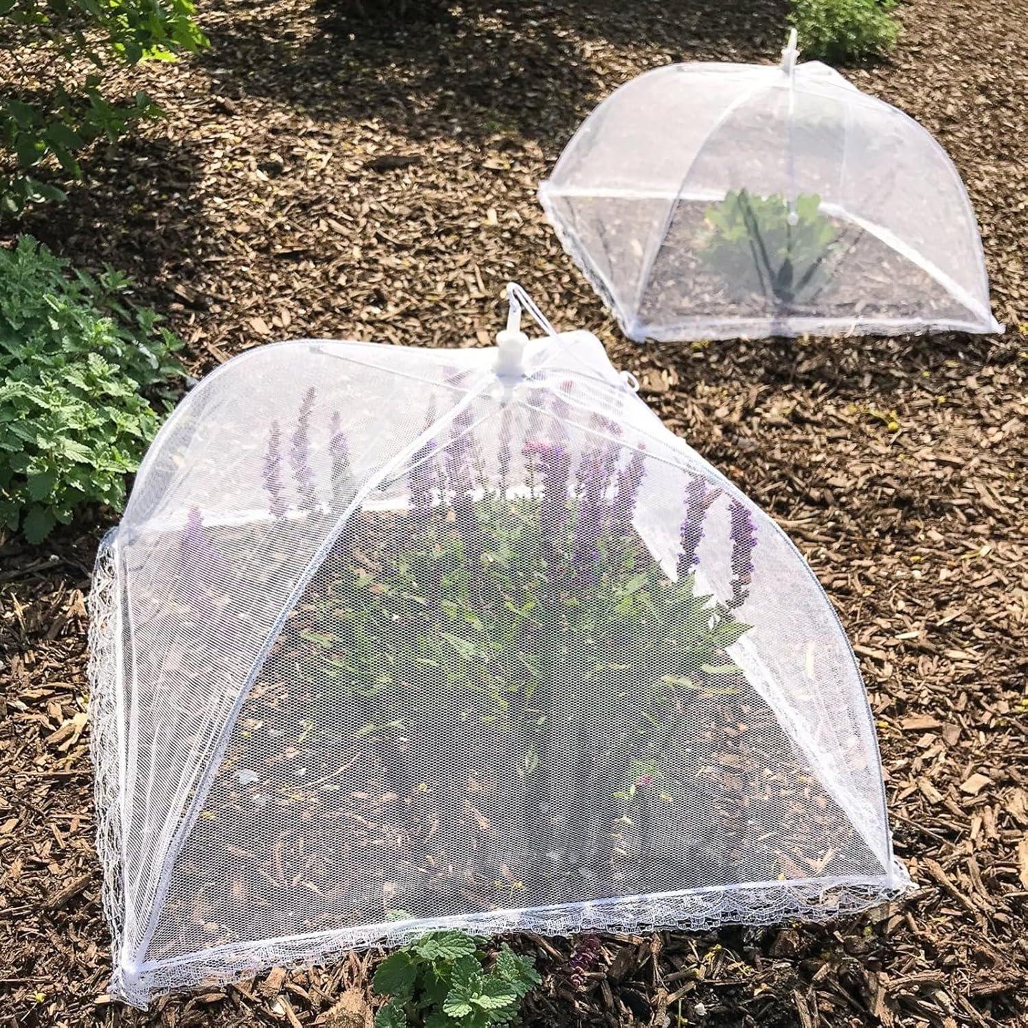 Cubiertas de Alimentos Plegables Simply Genius 43x43 cm - 6 Pzas