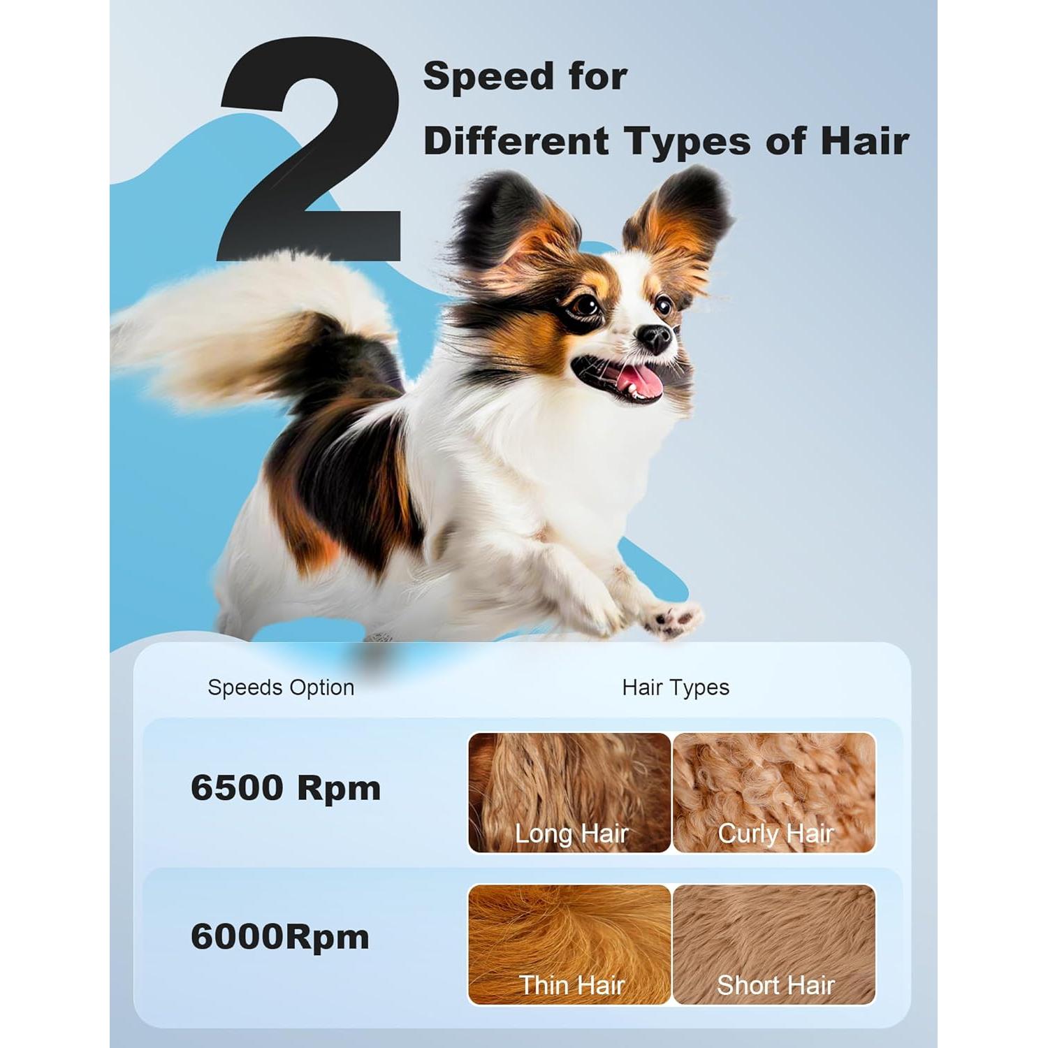 Kit de Aseo 3 en 1 para Perros Pequeños Lexflext Blanco