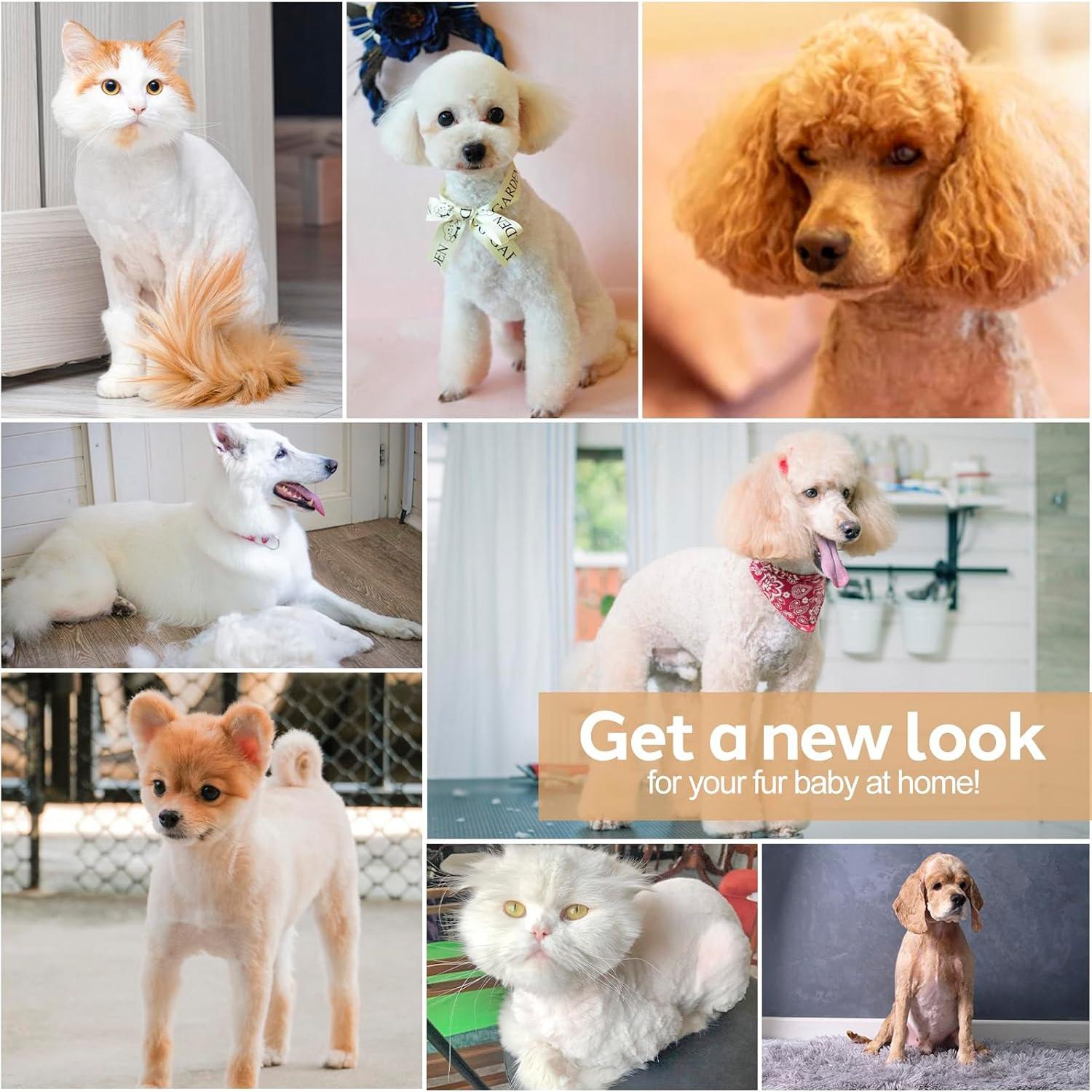 Kit de Cortapelos Inalámbrico Masagotti 4 en 1 para Perros y Gatos