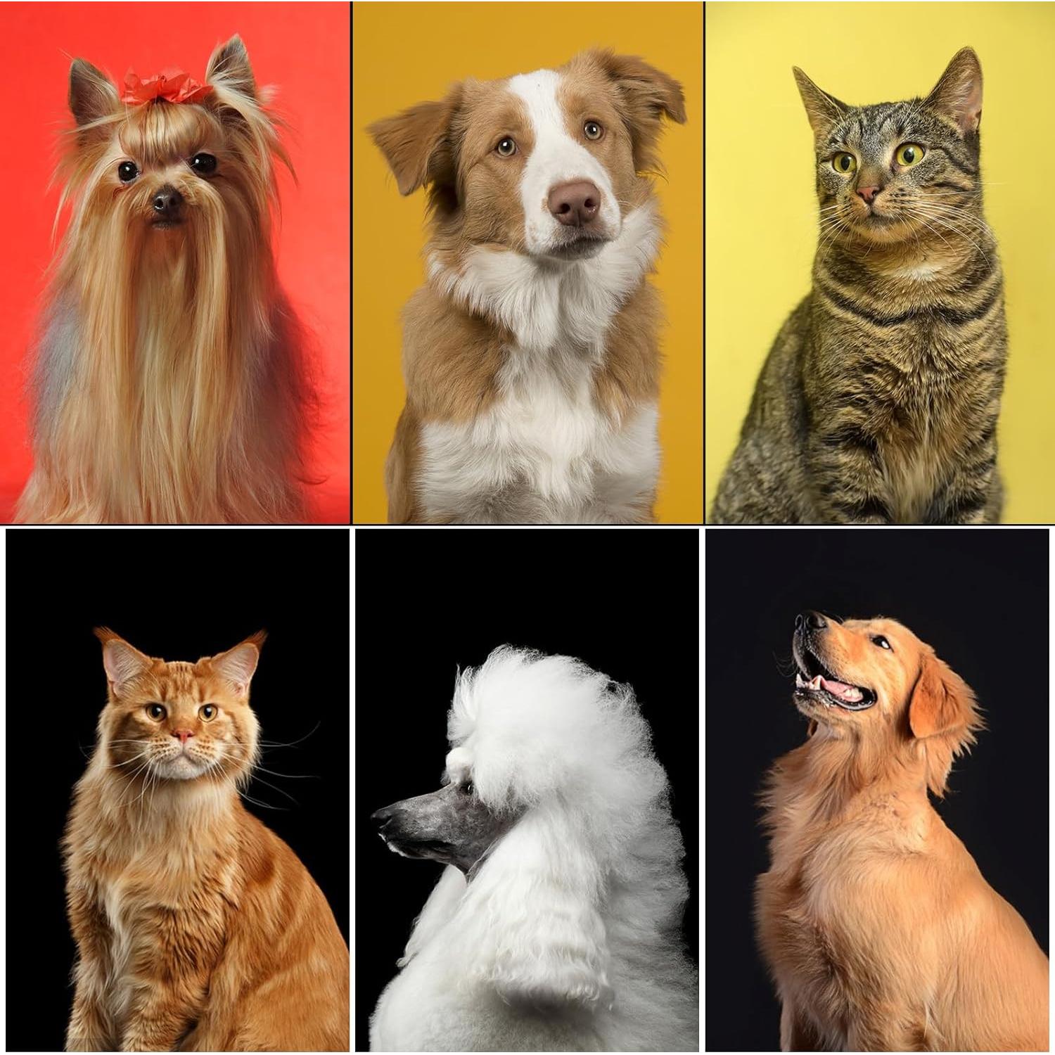 Complete Pet Grooming Solution by Dog - 9PCS Kit with Slicker Brush, Deshedding Tool, and Grooming Comb for All Breeds and Sizes, Promotes Healthy Skin and Coat