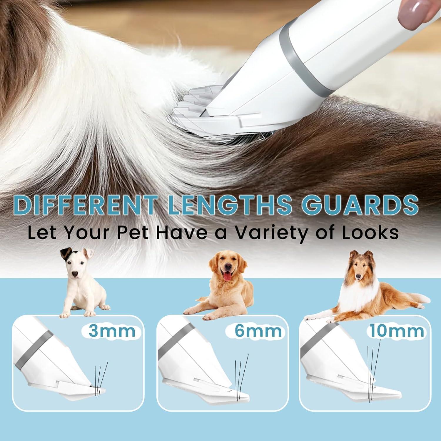 Dog Clippers Grooming Kit Hair Clipper-Low Noise Paw Trimmer- Rechargeable - Cordless Quiet Nail Grinder Shaver for Cats and Other Pets