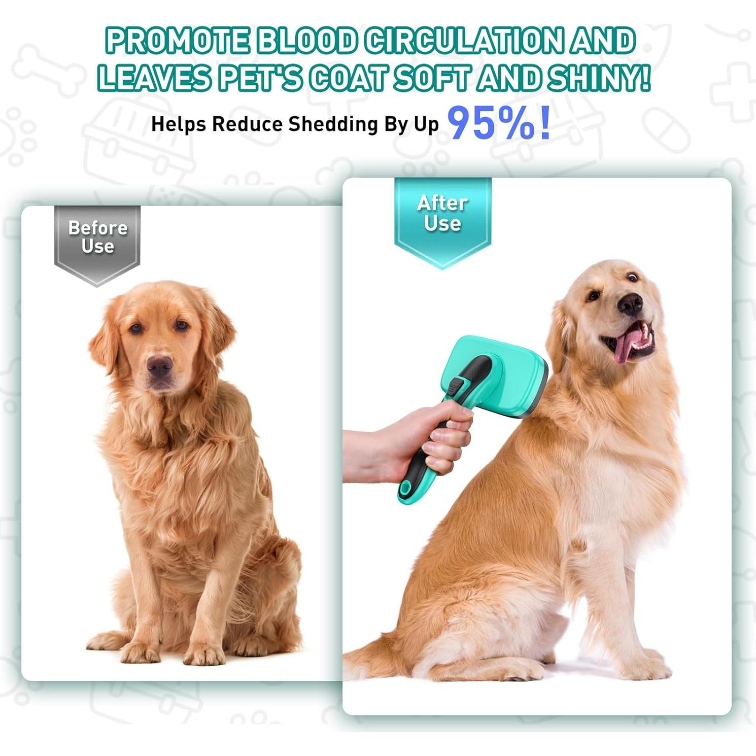 Kit de Aseo 5 en 1 WOPQAEM para Perros y Gatos - Verde