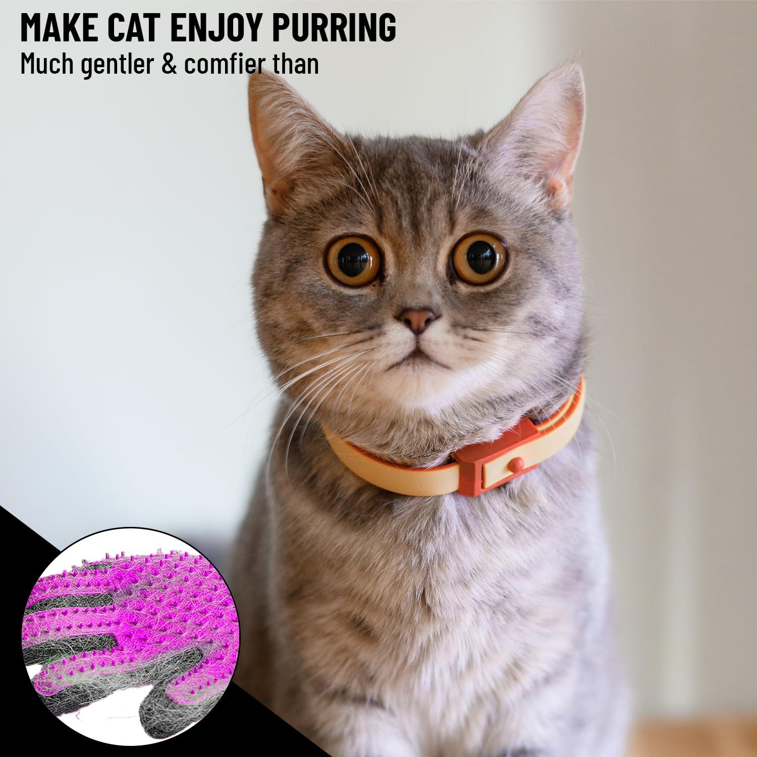 Kit de Aseo Profesional PET PULL para Mascotas - Rosa