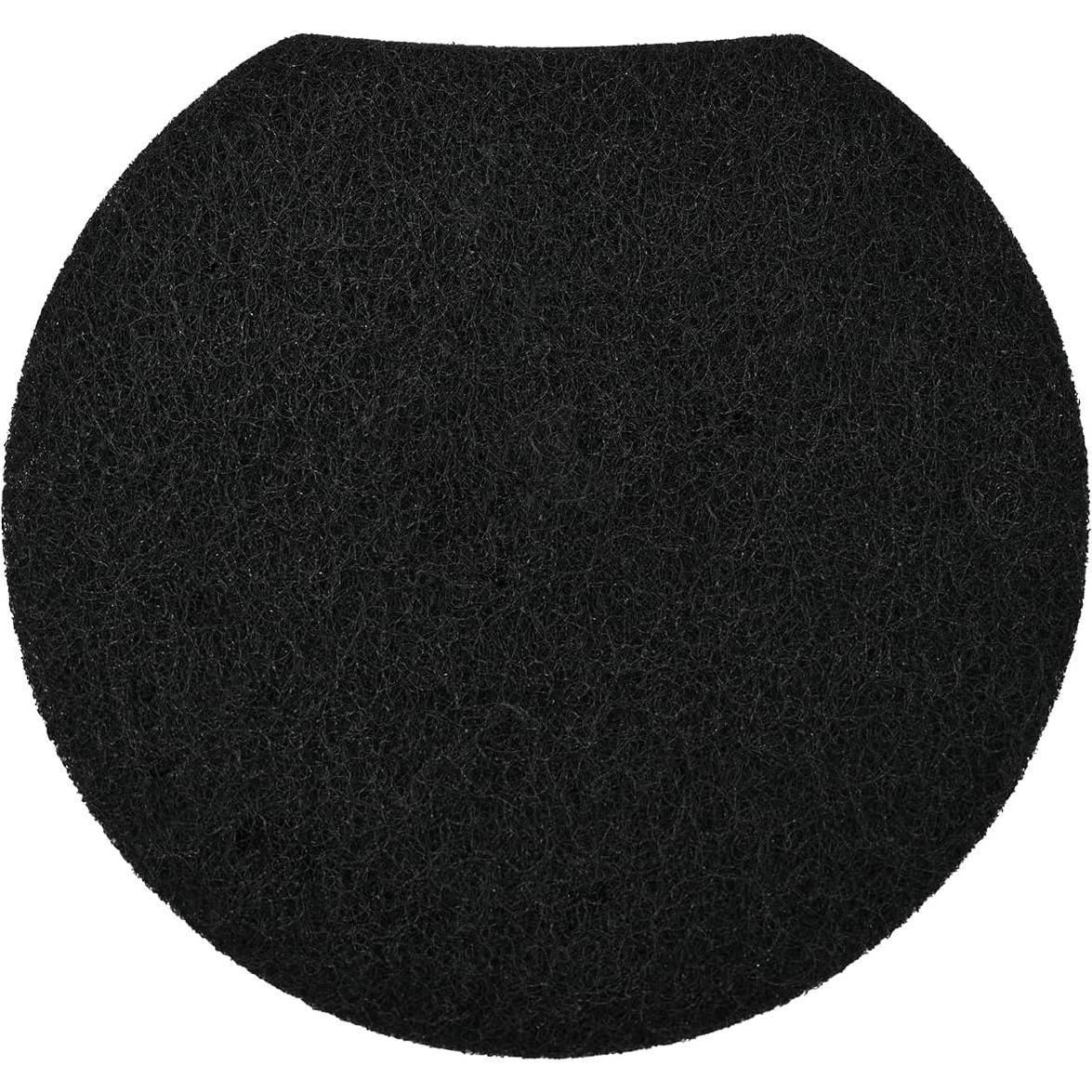 Juego de esponja y filtro AIRROBO PG100 para aspiradora