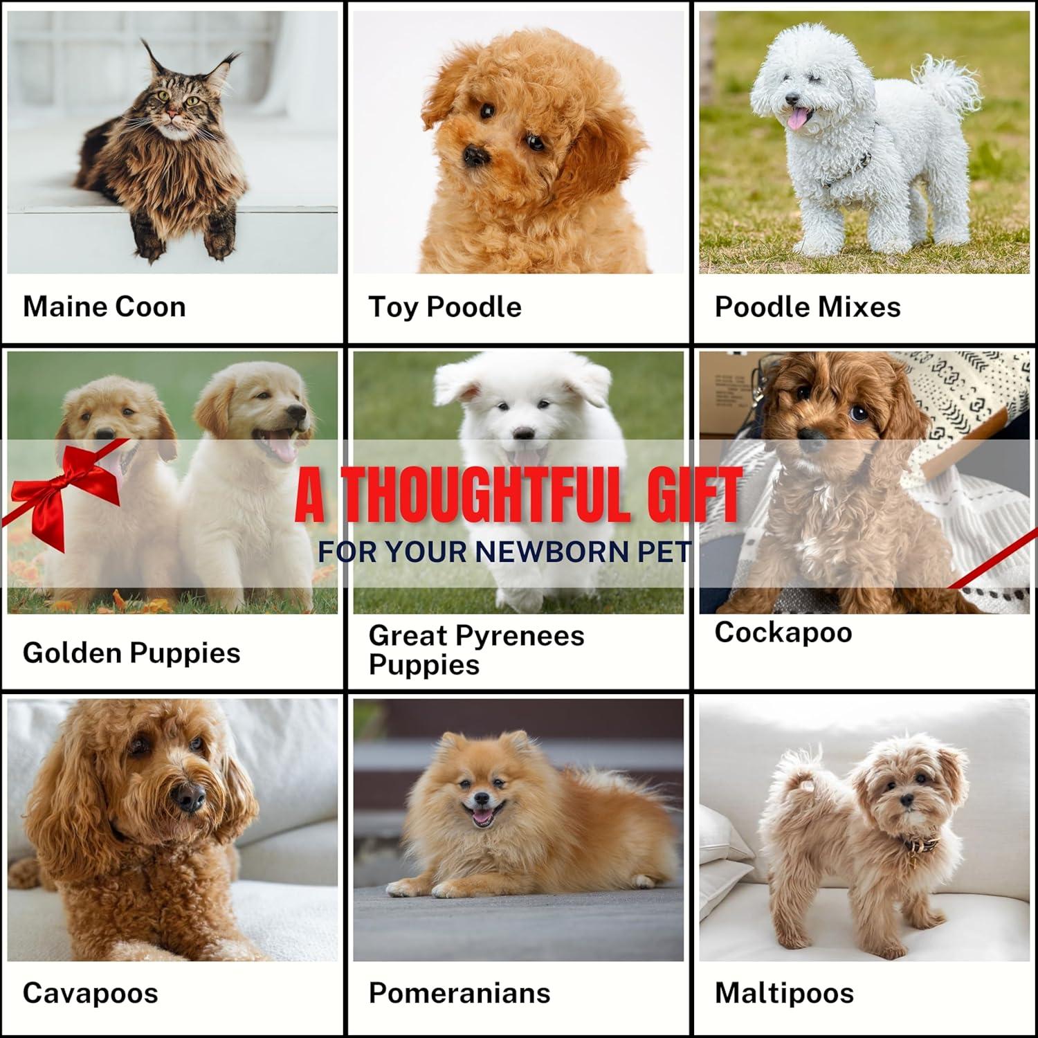 Cepillo Slicker para Perros y Gatos ENUKYCOM - 20.5x6.7cm