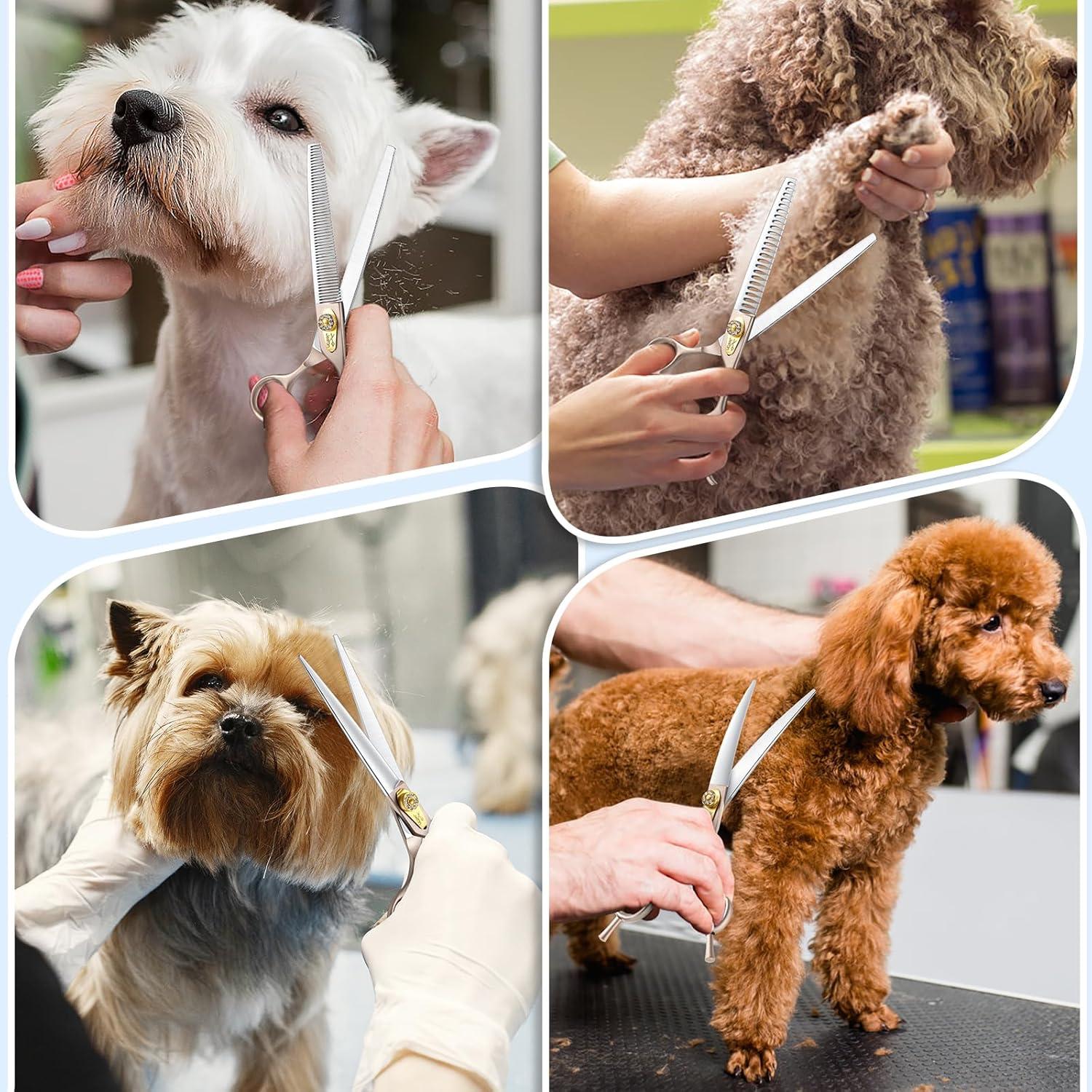 Kit de Tijeras para Perros JASON 6 en 1 Acero Inoxidable 19 cm