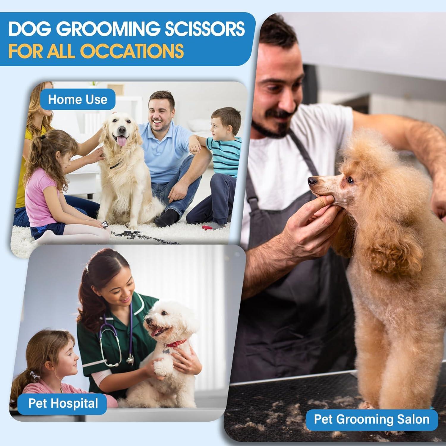 Kit de Tijeras para Perros JASON 6 en 1 Acero Inoxidable 19 cm