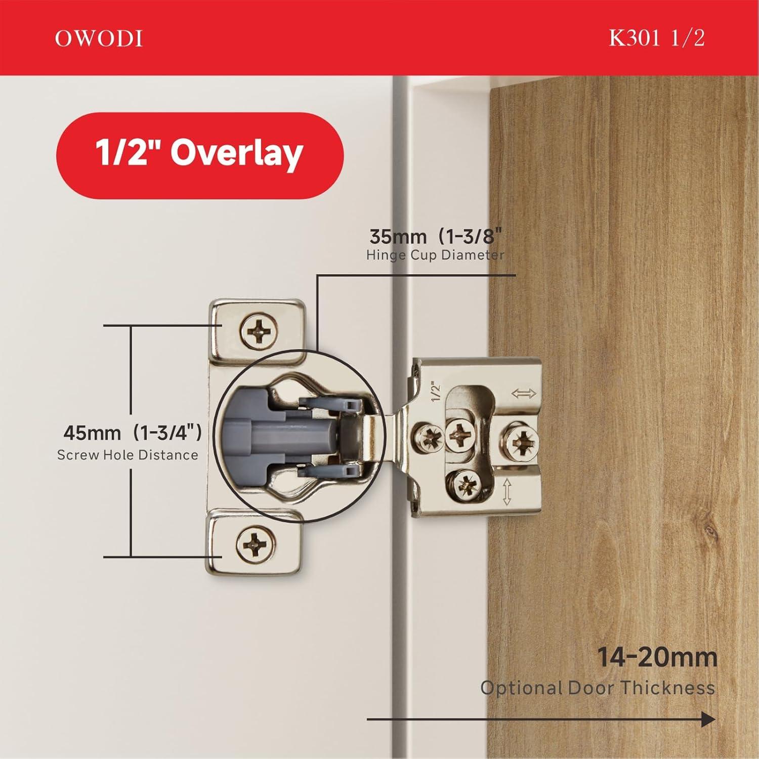 Paquete de 20 bisagras ocultas OWODI 1/2" acero inoxidable