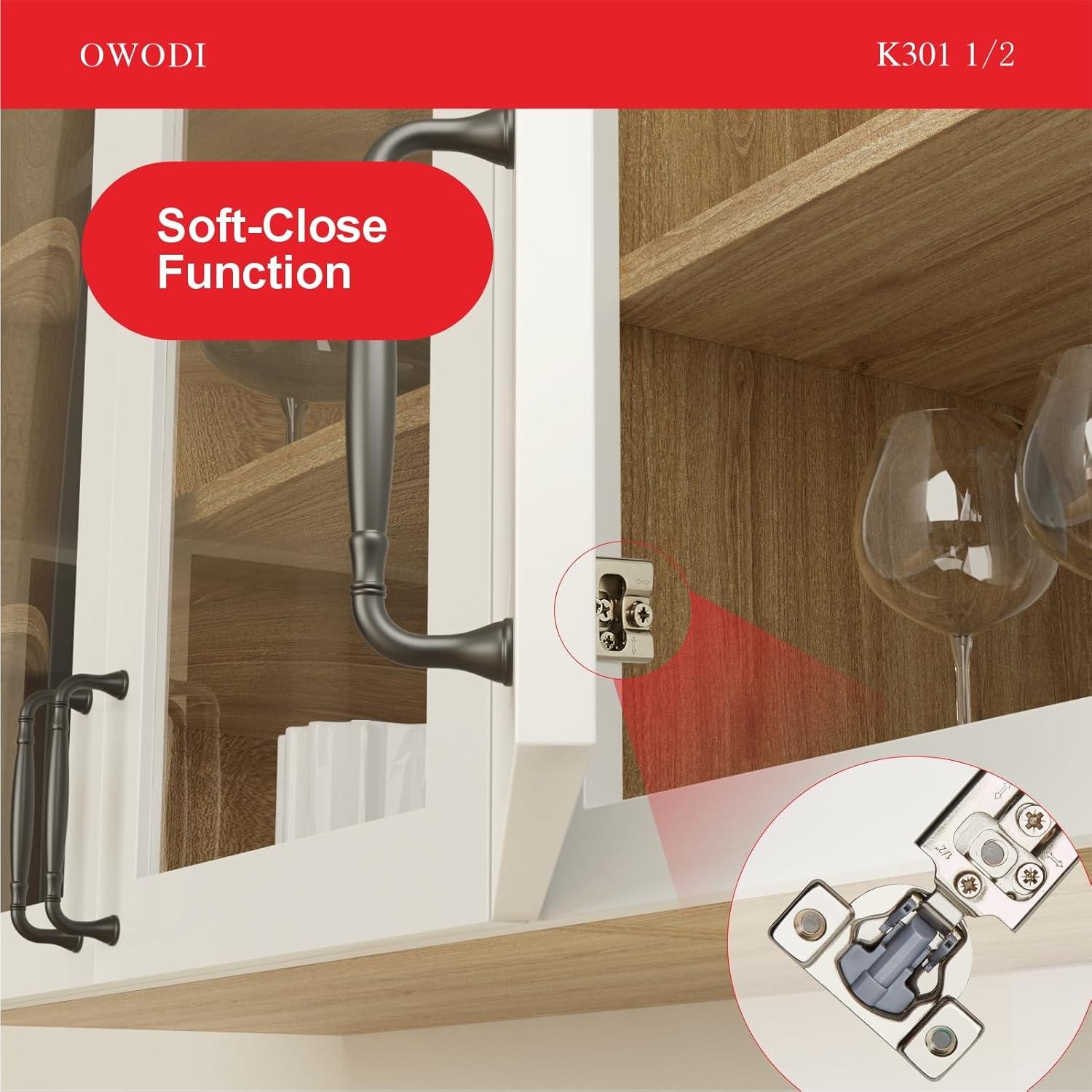 Paquete de 20 bisagras ocultas OWODI 1/2" acero inoxidable