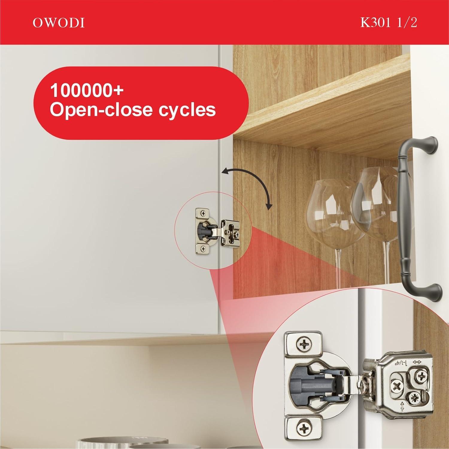 Paquete de 20 bisagras ocultas OWODI 1/2" acero inoxidable