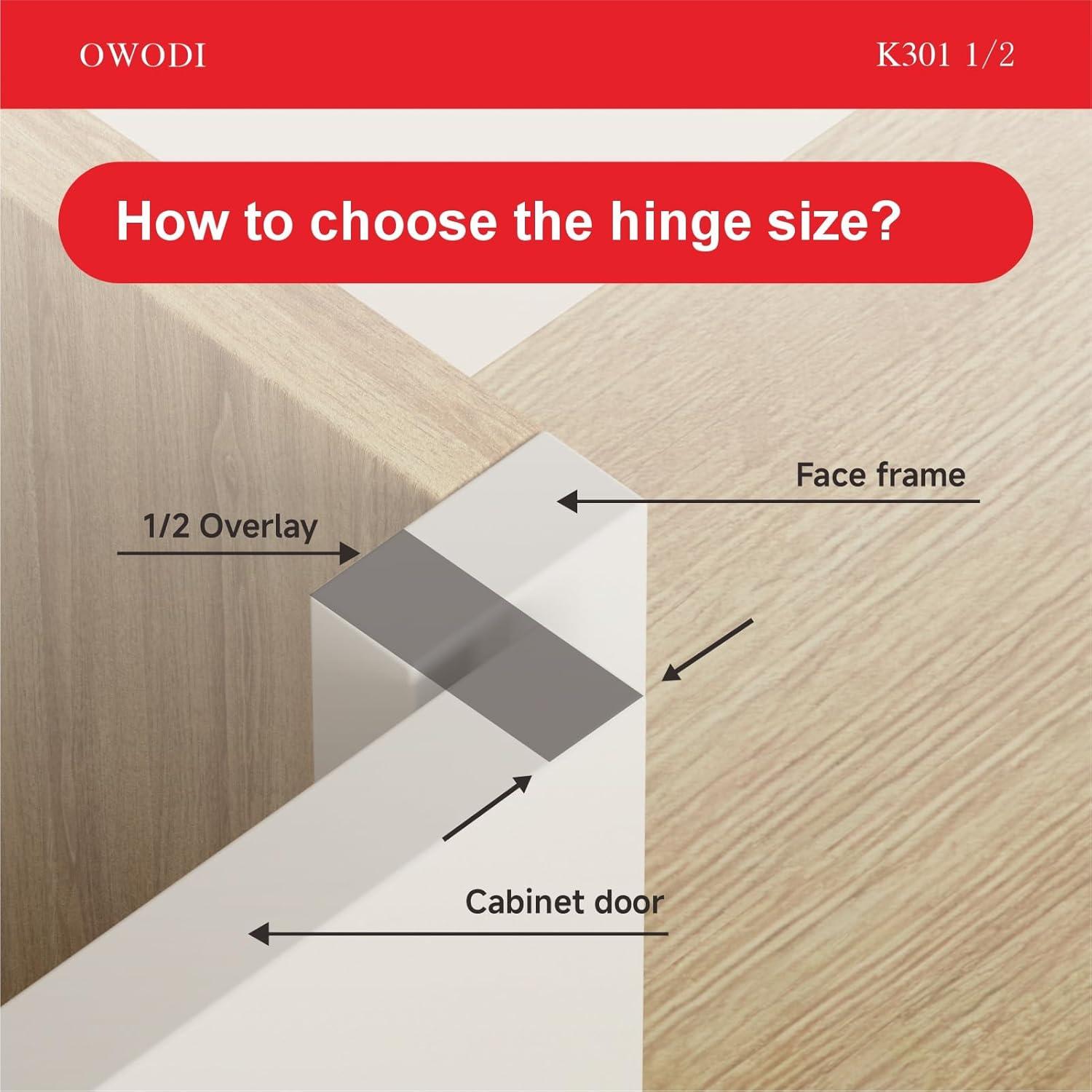 Paquete de 20 bisagras ocultas OWODI 1/2" acero inoxidable