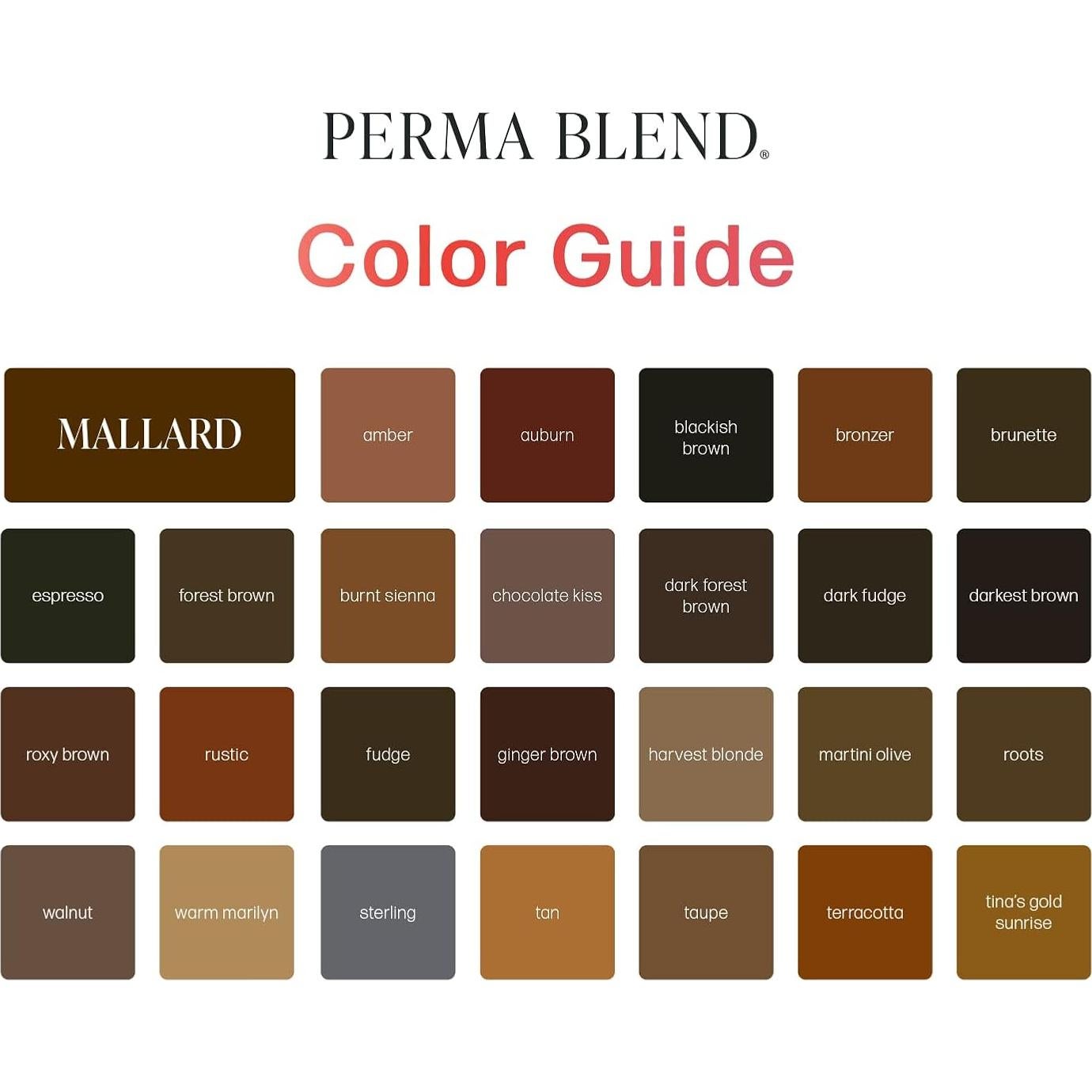 Tinta para Tatuajes Perma Blend Marrón Negruzco 14g - PMU