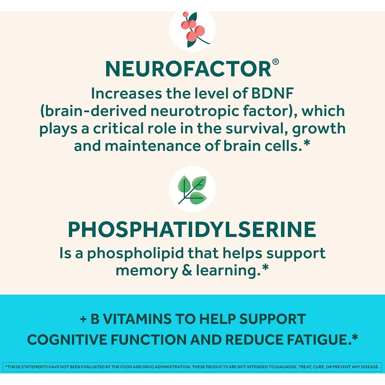 Neuriva Plus Gominolas Cerebrales 50ct - Enfoque y Memoria