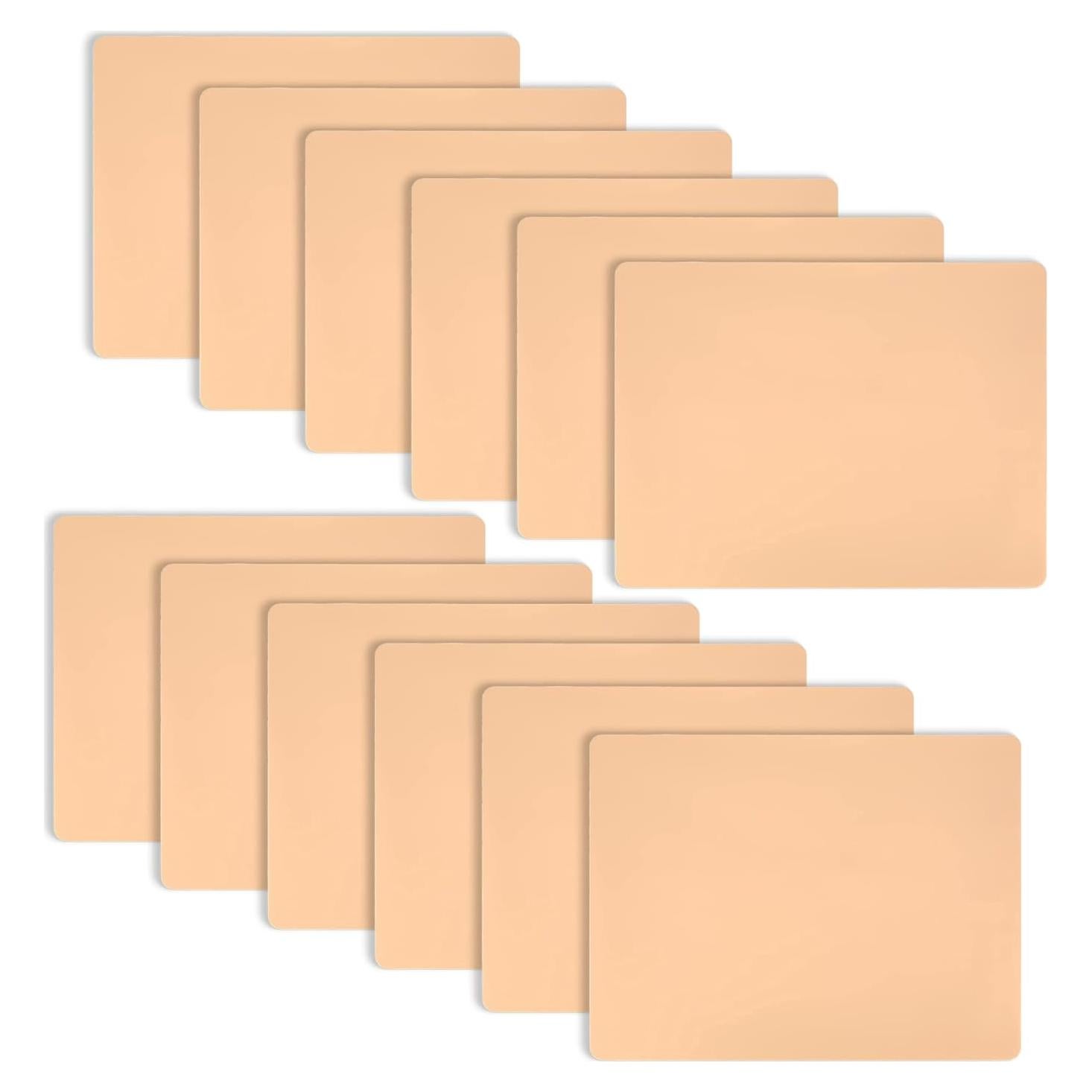 Piel de Práctica para Tatuaje WSLL - 12 Piezas 15x20 cm Silicona