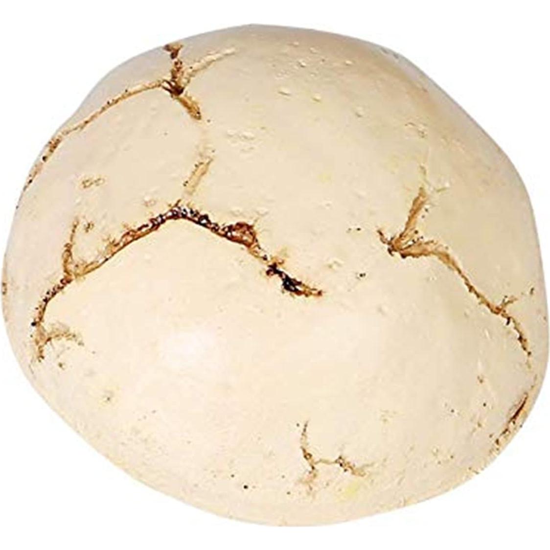 Soporte para Tazas de Tinta de Tatuaje DOWEI - Calavera 7 Agujeros