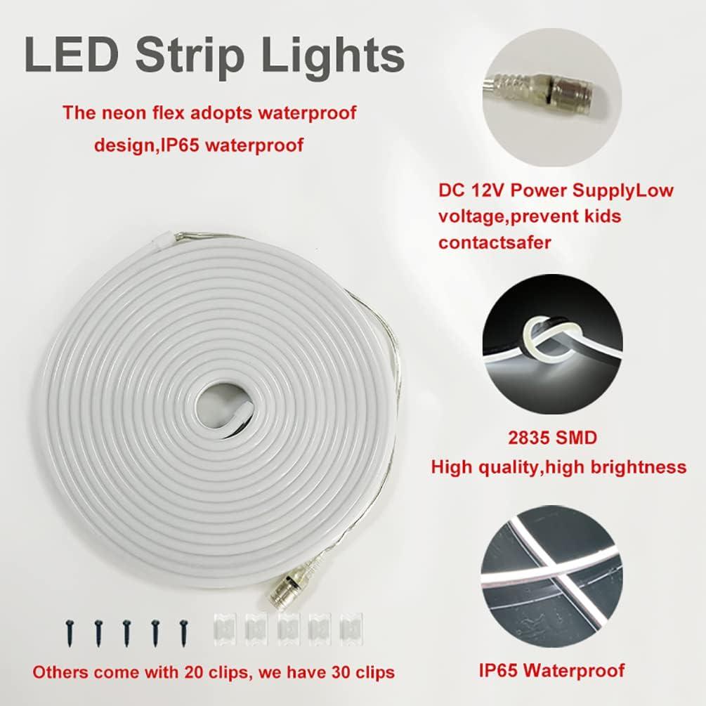 Tira de luz LED de neón Shun Ying Wanda 5m 12V IP65