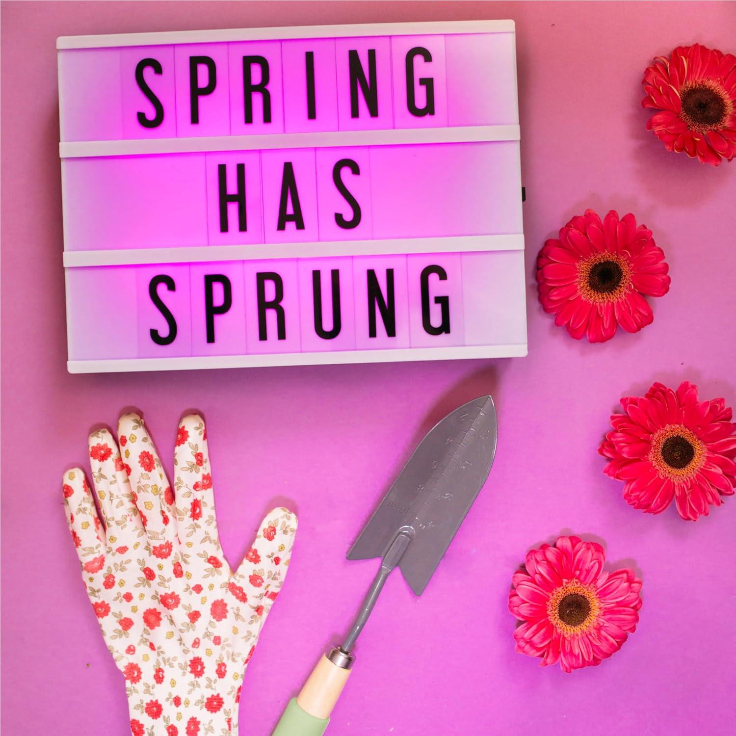 Caja de Luz de Cine Amped & Co 30.48x22.86 cm RGB LED