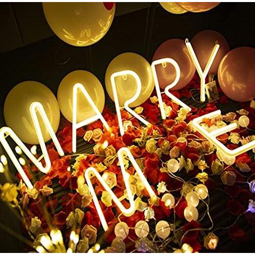 Letrero de Neón LED Blanco Cálido - Letra Z 16.8x21.2cm