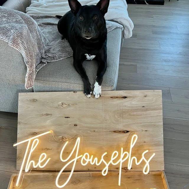 Cartel de Neón Personalizado OBTAIN para Decoración de Pared