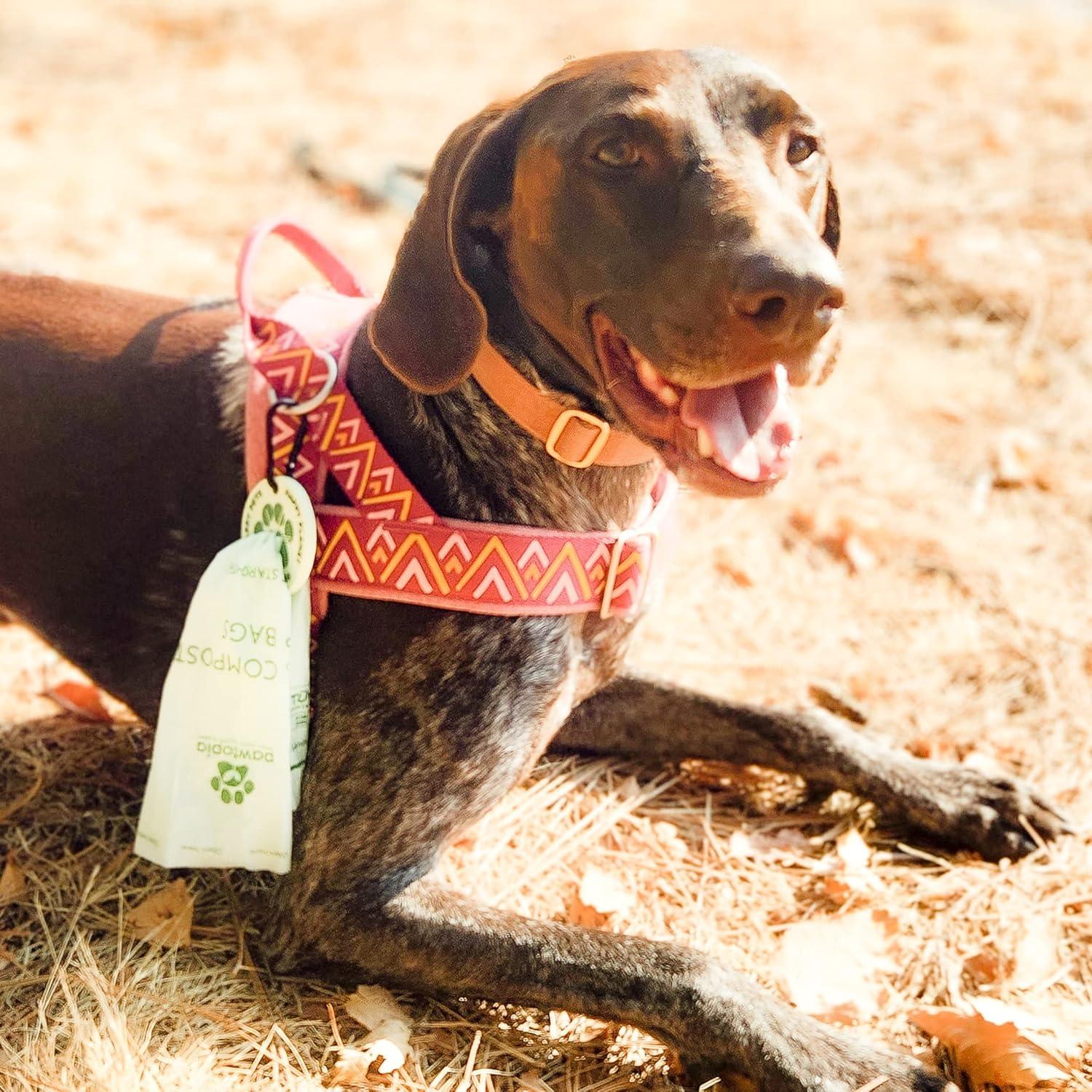 Bolsas de Poop Compostables Pawtopia 120 Unidades + Portabolsas