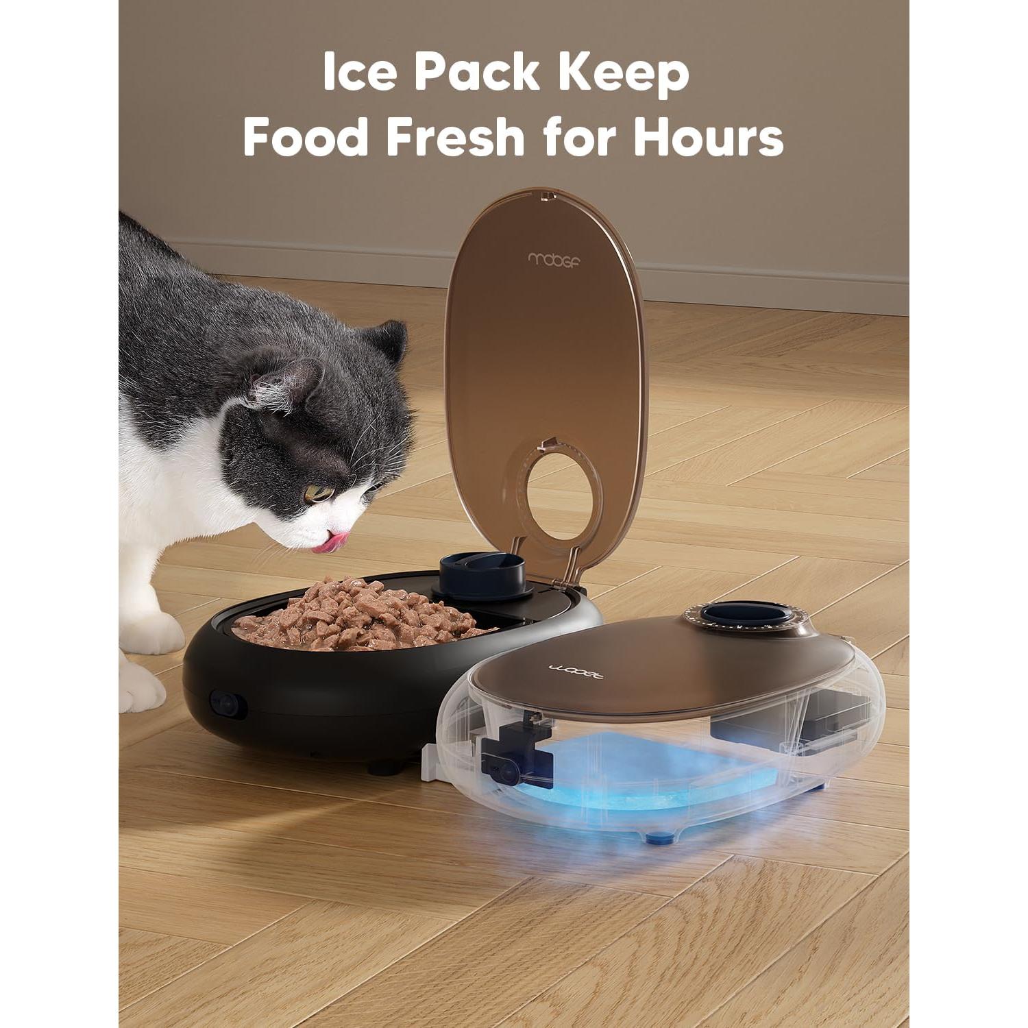 Dispensador Automático de Comida WOPET para Gatos y Perros