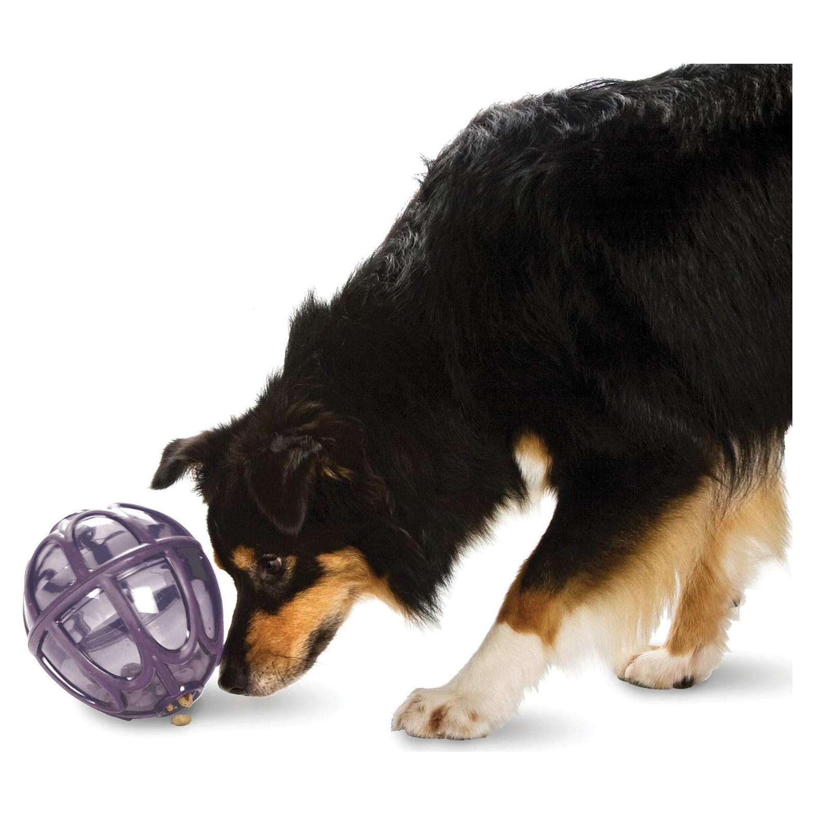 Juguete Dispensador de Comida PetSafe Kibble Nibble Mediano/Grande