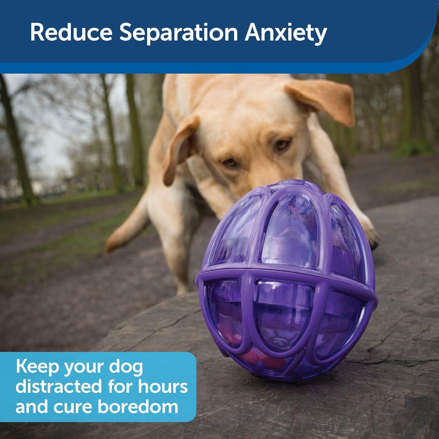 Juguete Dispensador de Comida PetSafe Kibble Nibble Mediano/Grande