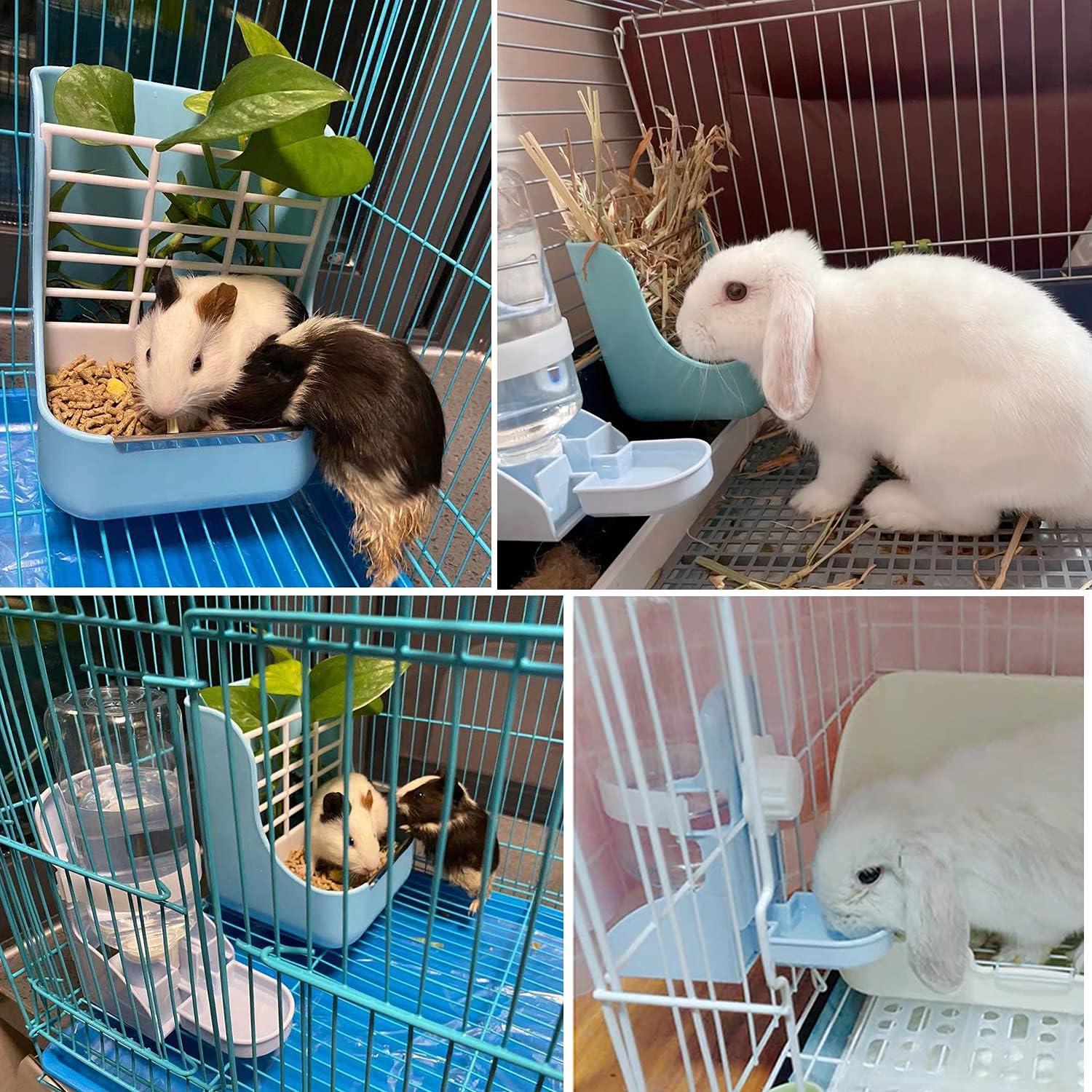 Comedero y Botella de Agua HERCOCCI Grande Azul 500ml para Mascotas