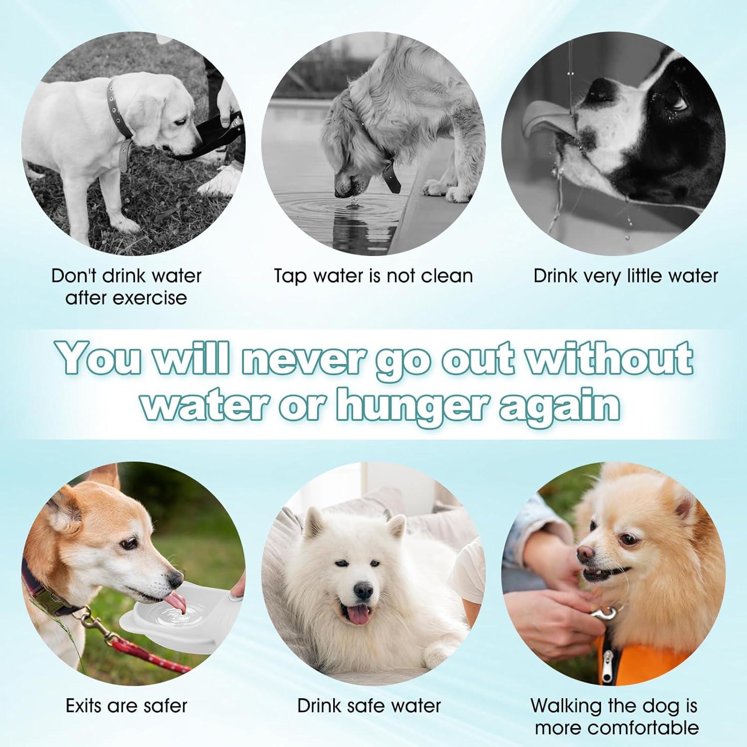 Portable Dogs Water Bottle with Food Storage Container, Leakproof Travel Pets Drinking Water Dispenser Feeder for Outdoor Dog Stuff Accessories Items for Cats, Puppy,for Walking, Hiking (White, 550ml)