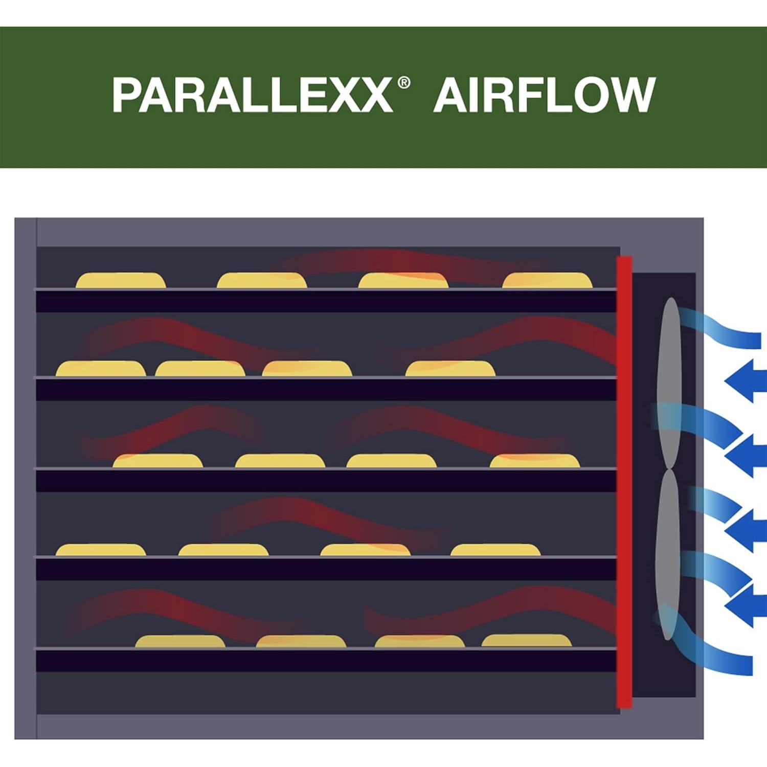 Deshidratador Eléctrico Excalibur 9 Bandejas 600W Negro