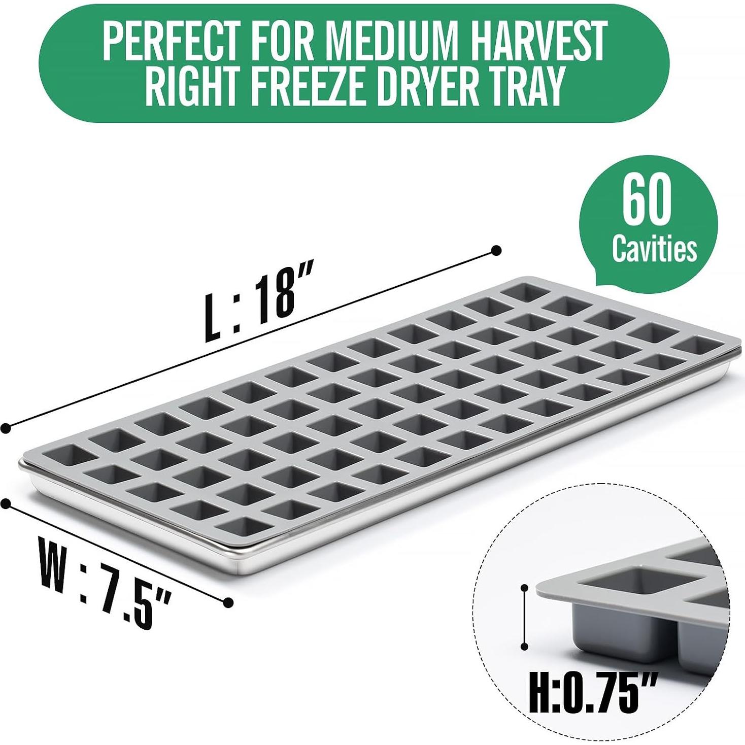 Moldes de Silicona Medianos Angadona para Deshidratadora