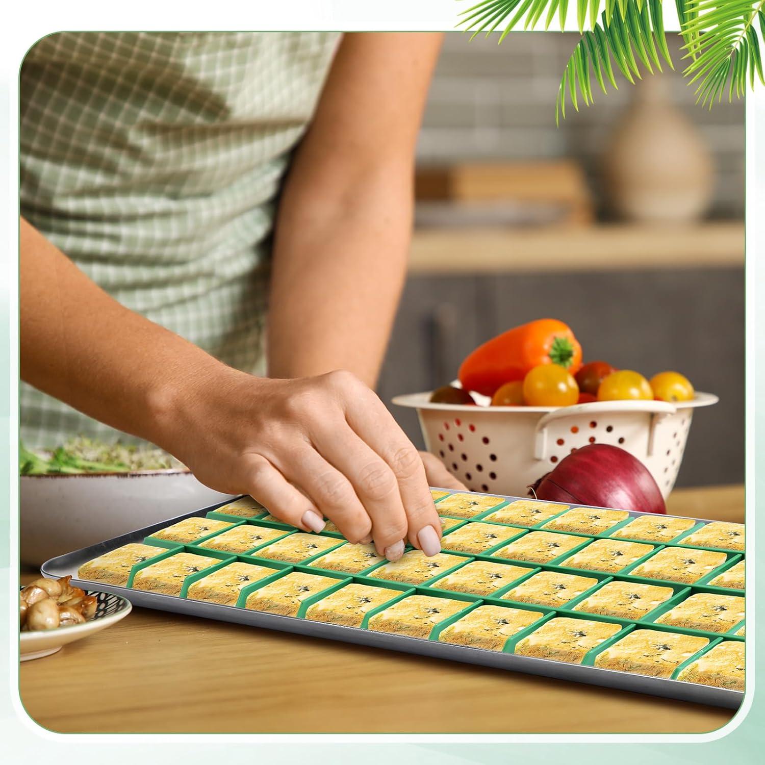 Divisores de Bandeja para Deshidratador Wonderjune 5 Piezas Verde