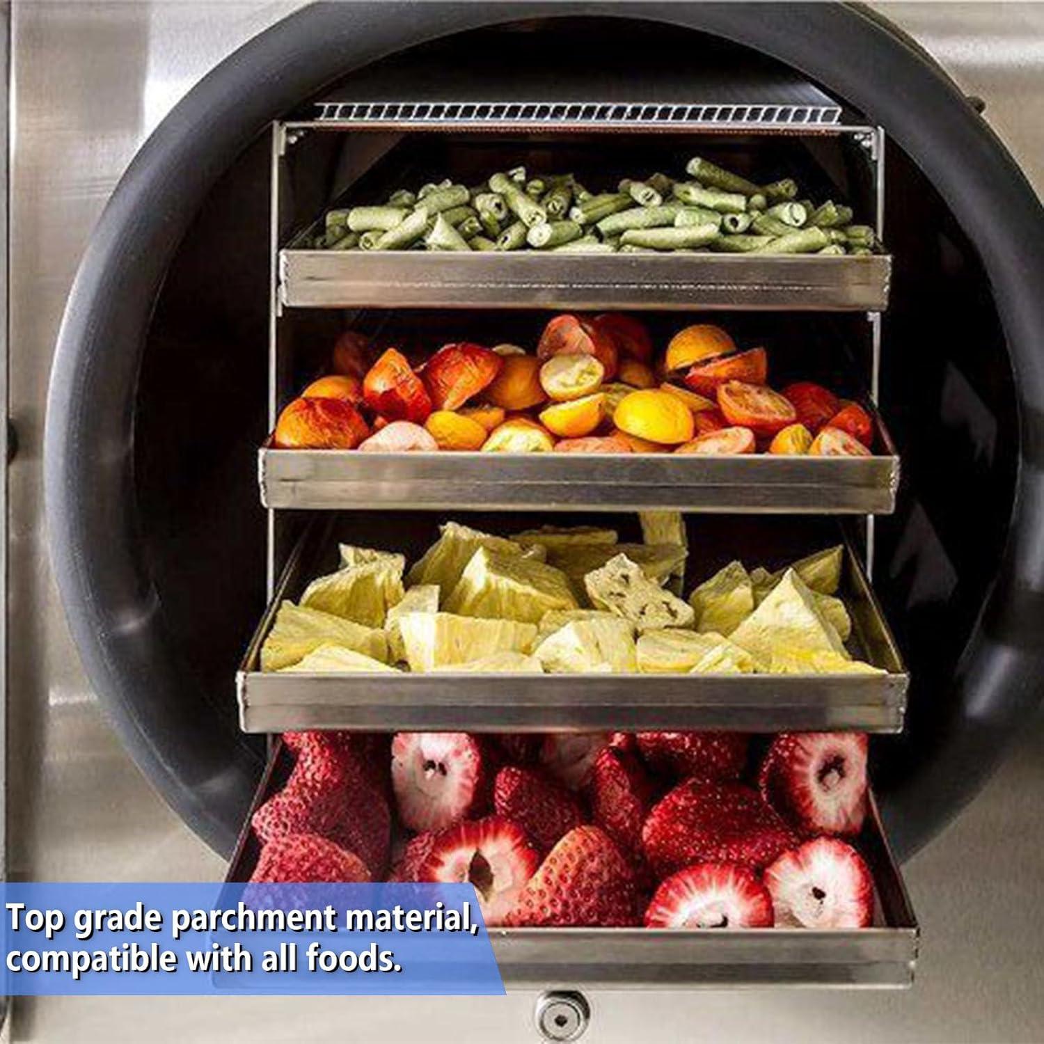 Alfombrillas desechables para deshidratador YHMYOALU 200 PCS