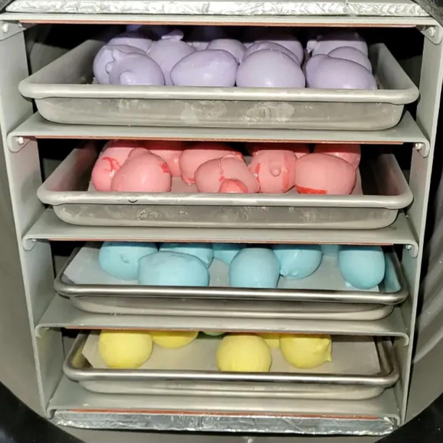 Alfombrillas desechables para deshidratador YHMYOALU 200 PCS