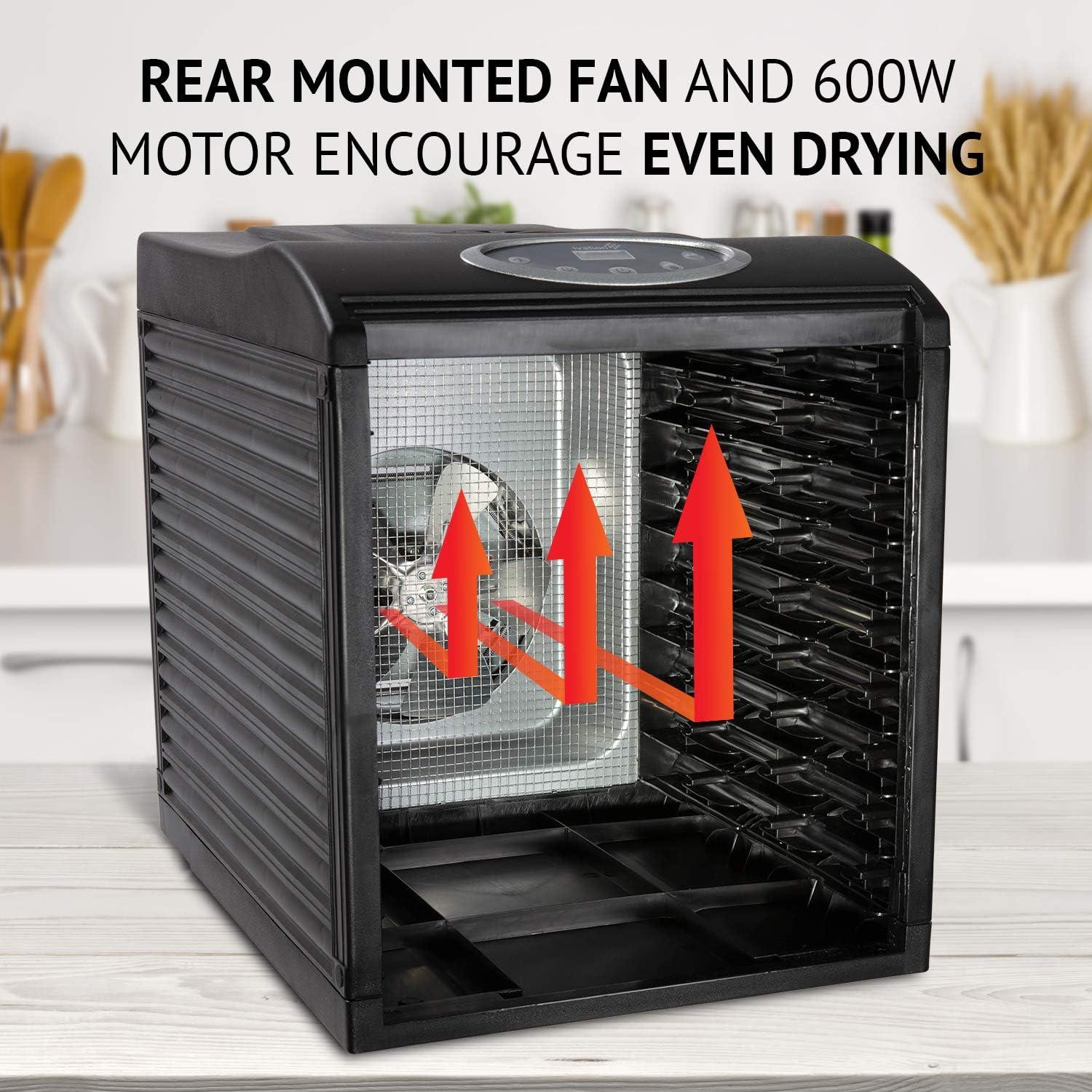 Deshidratador de Alimentos Ivation 9 Bandejas 600W Digital