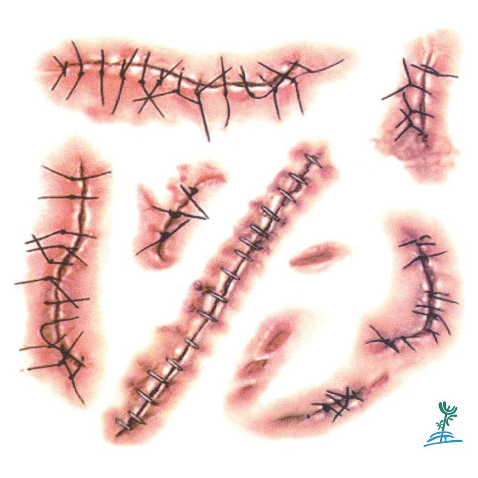 Tatuajes Temporales Realistas YEEECH Cicatrices 11.4x13 cm