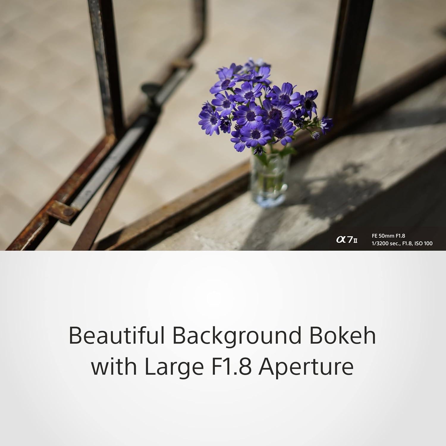 FE 50mm F1.8 Standard Lens (SEL50F18F), Black