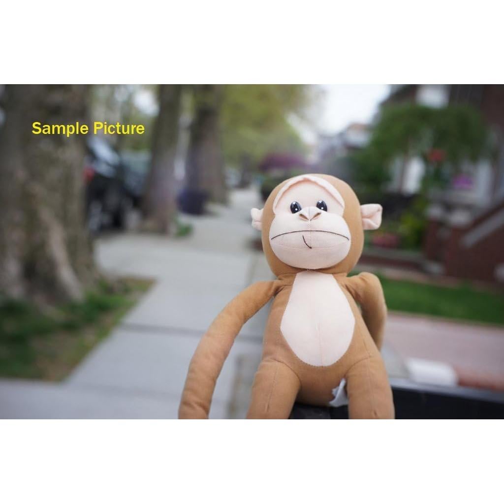 Lente Prime 35mm F1.6 Manual Fotasy para Sony Montura E