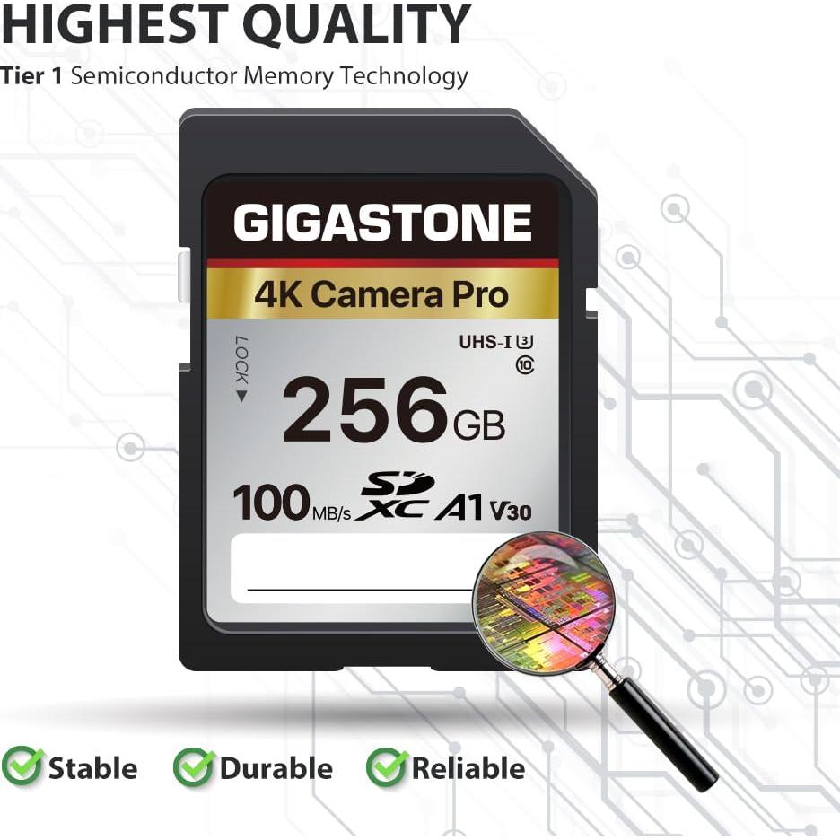 Tarjeta de Memoria Gigastone 256GB 4K UHS-I 100MB/s