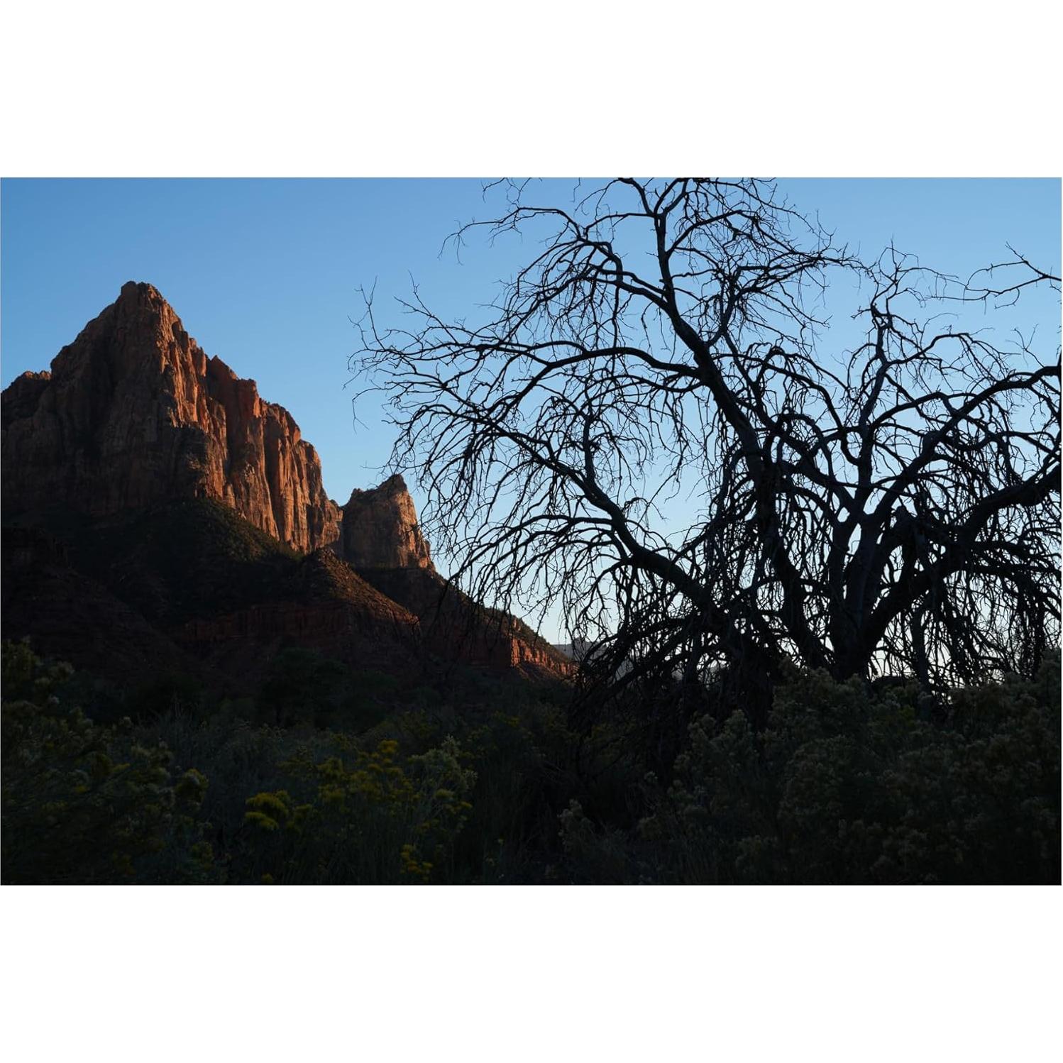 FE 50mm F1.4 GM Lens (Sony E)