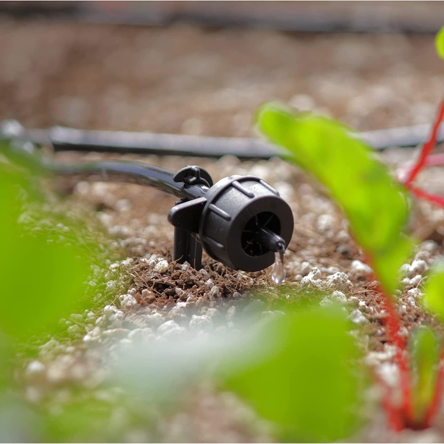 Sistema de riego solar AEO 50 goteros 47 m para jardín