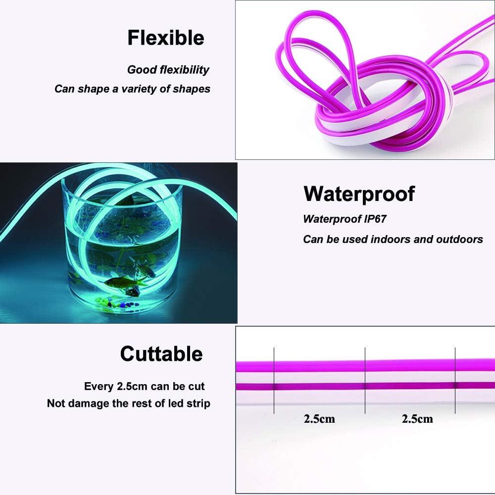 Tira LED de neón rosa 5M EverBright 600 LEDs IP67