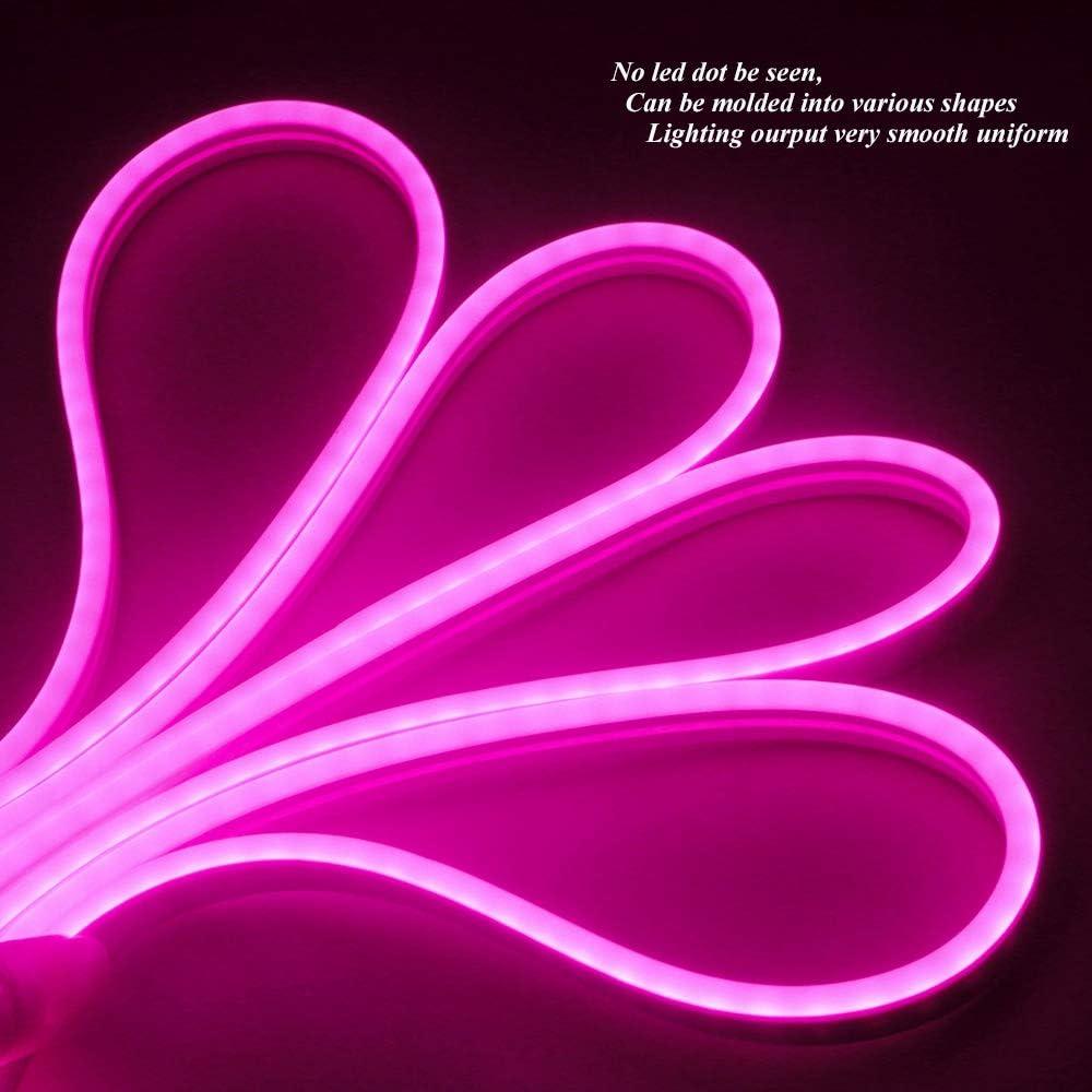 Tira LED de neón rosa 5M EverBright 600 LEDs IP67