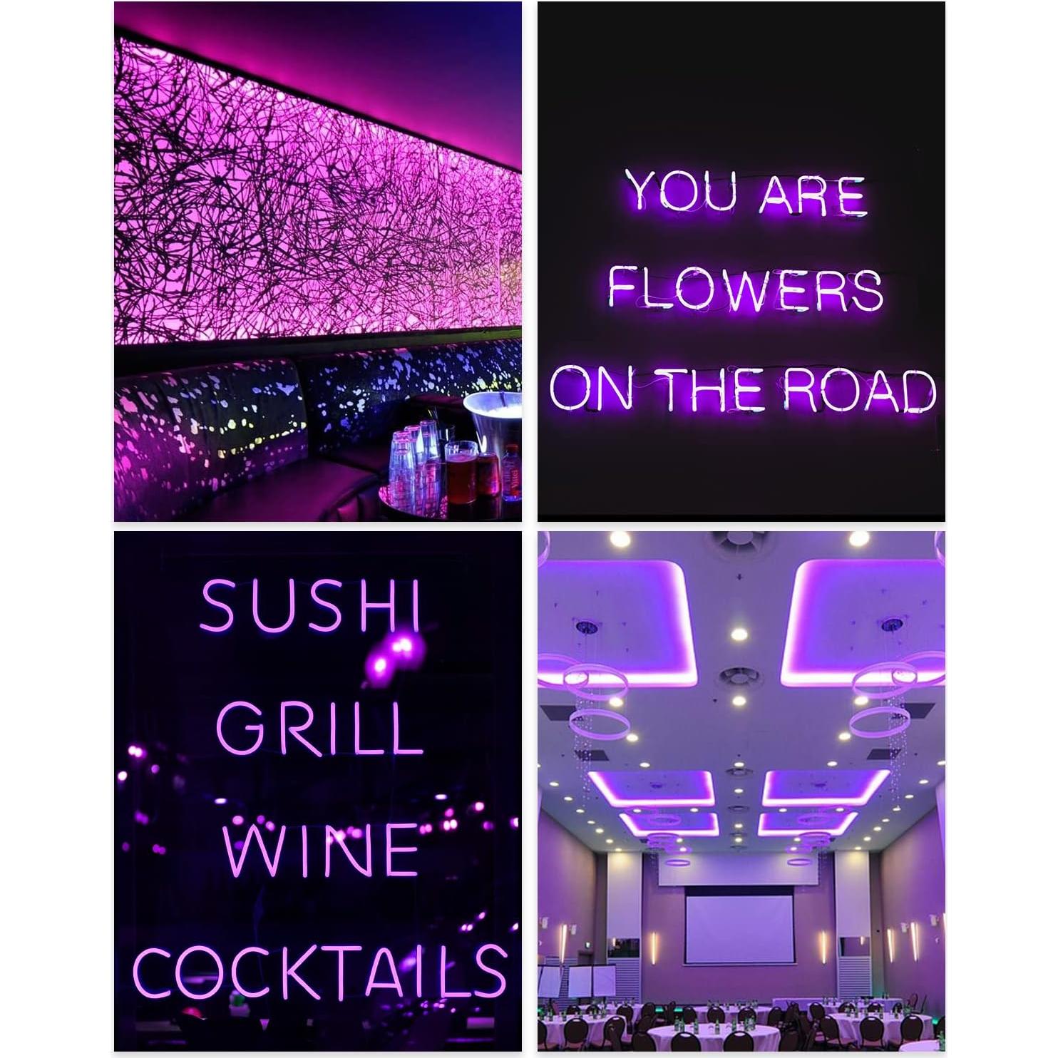 ALITOVE Neon Lights Strip Purple Silicone Flexible Dimmable LED Rope Light for DIY Neon Signs Bedroom Bar Wall Decor 16.4ft 5m 600 LEDs 12V DC Waterproof with Power Adapter Dimmer