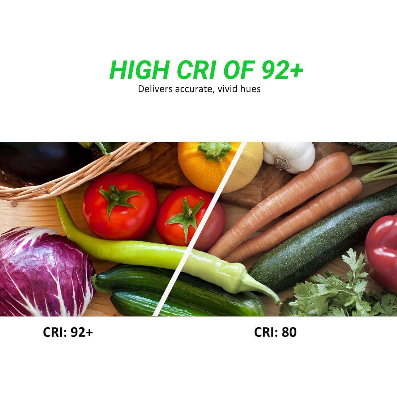 Tira LED de neón JOYLIT 24V 5M 240LEDs/M 3000K Blanco cálido